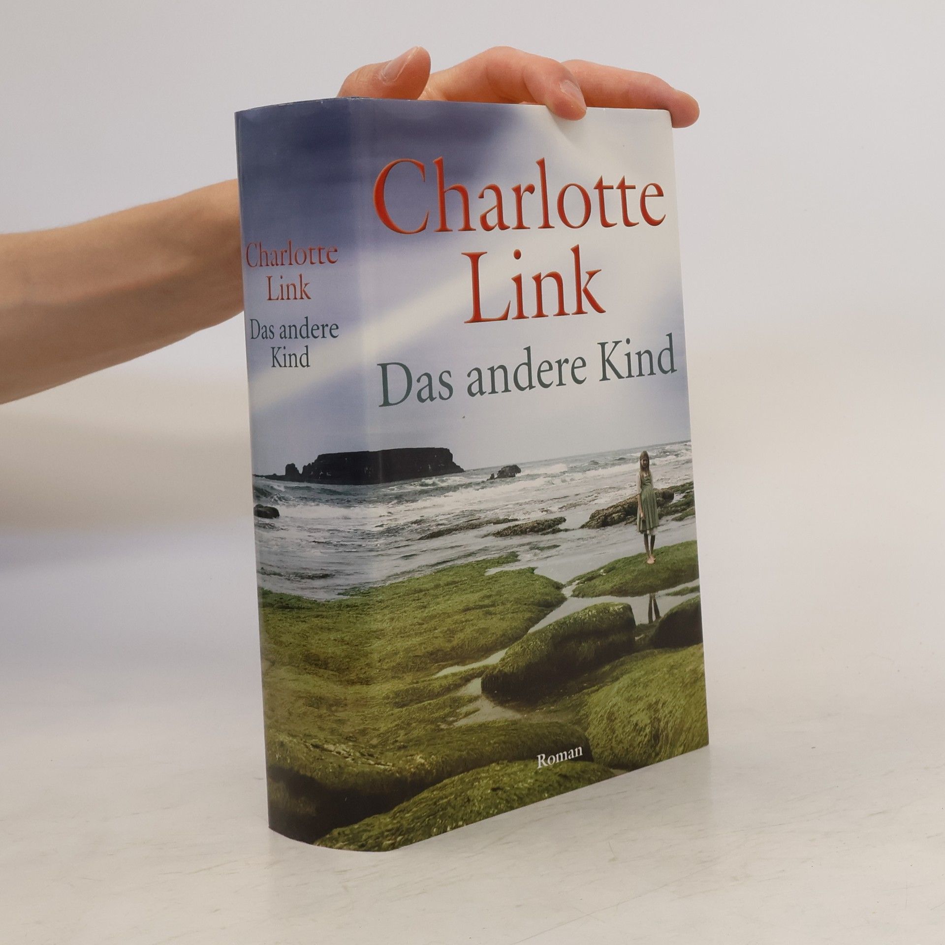 Charlotte Link Das andere Kind