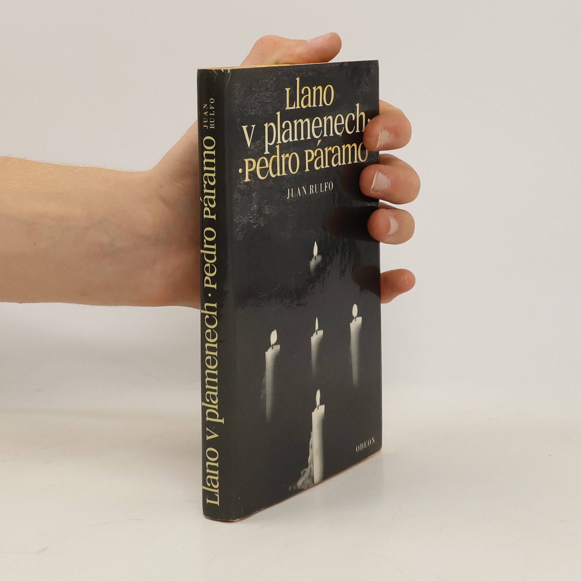 Juan Rulfo Llano v plamenech. Pedro Páramo