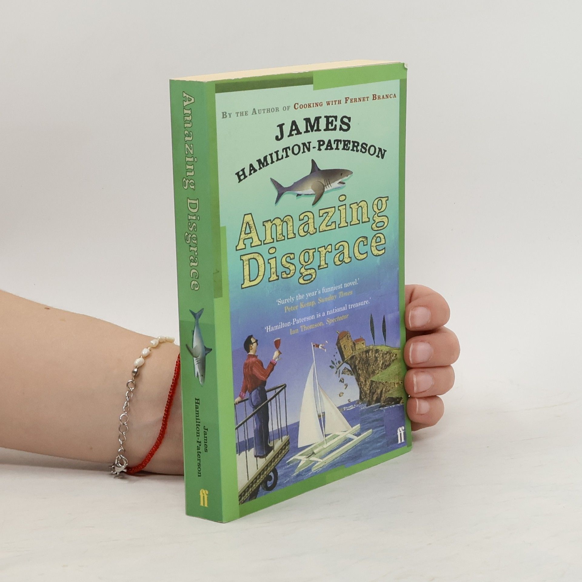 James Hamilton Paterson Amazing Disgrace Exp
