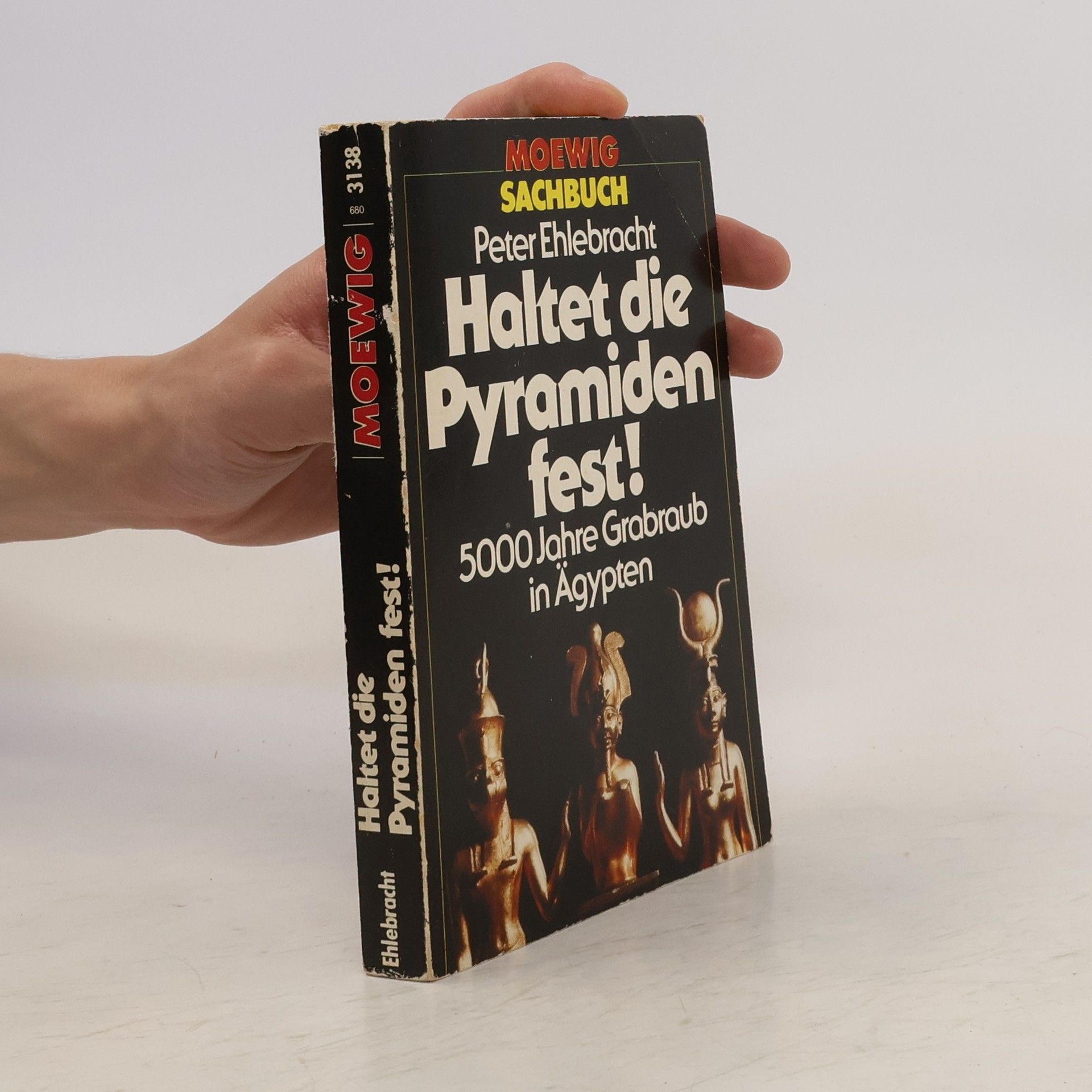 Peter Ehlebracht Haltet die Pyramiden fest!