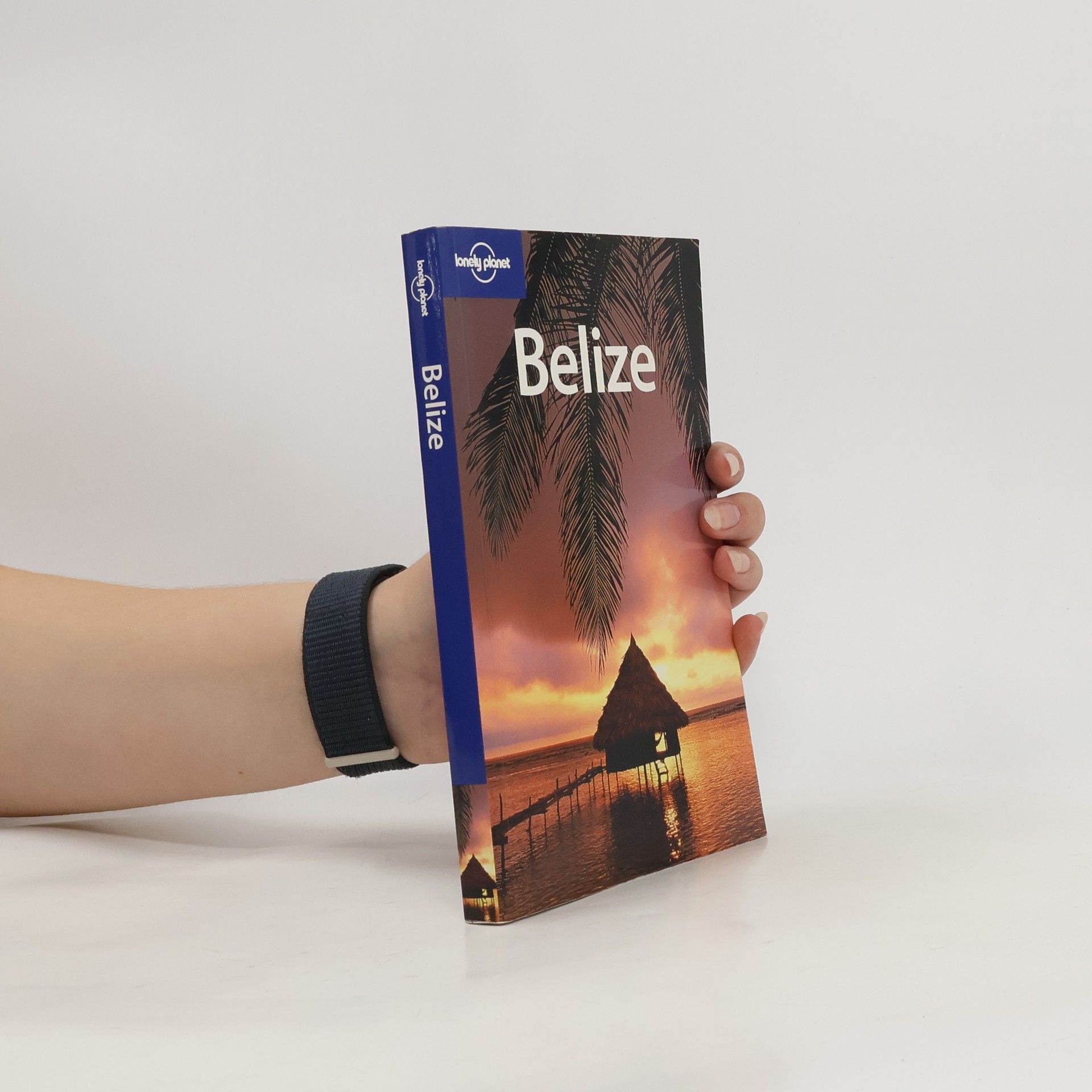 kolektiv Belize