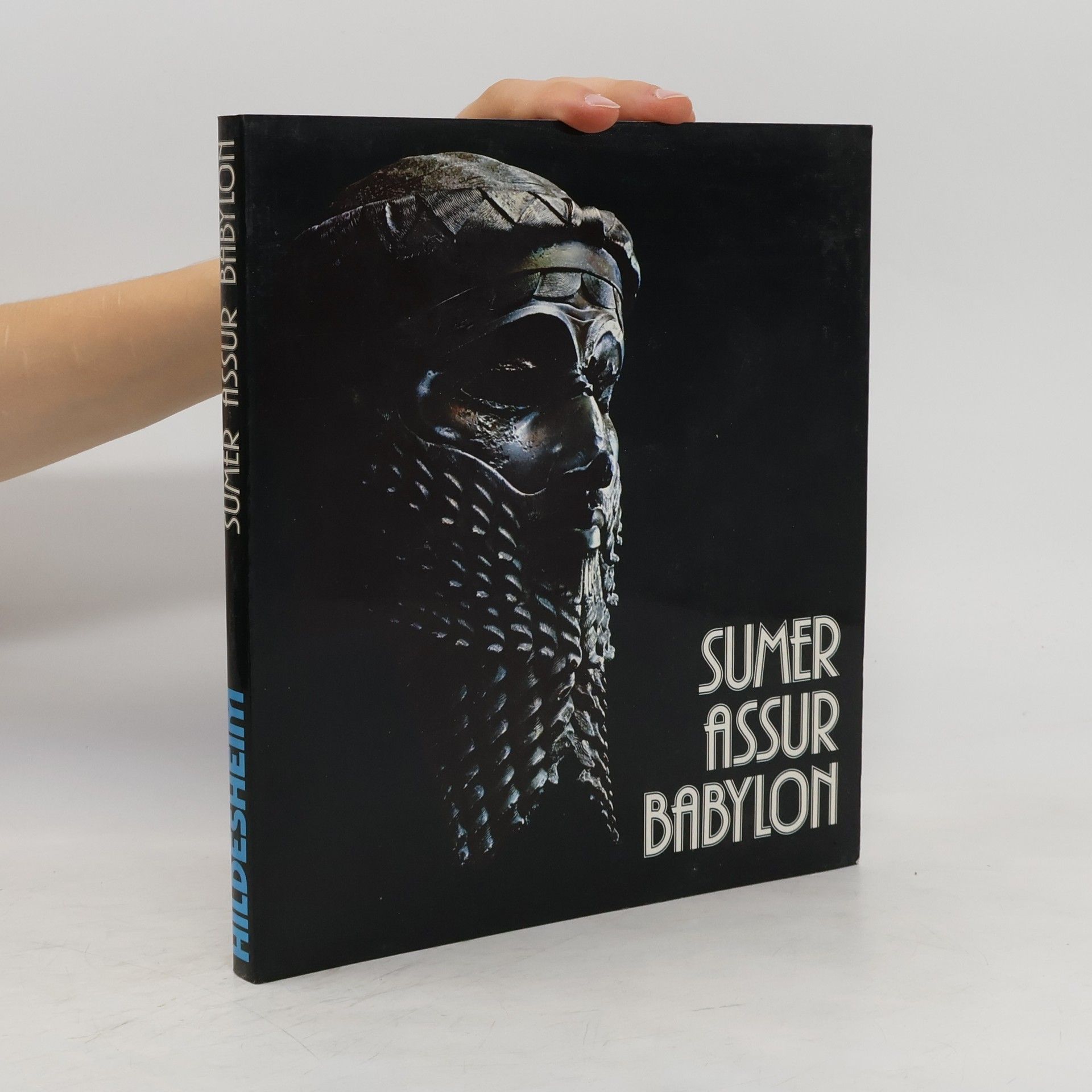 Rolf Schulte Sumer, Assur, Babylon : 7000 Jahre Kunst und Kultur zwischen Euphrat und Tigris