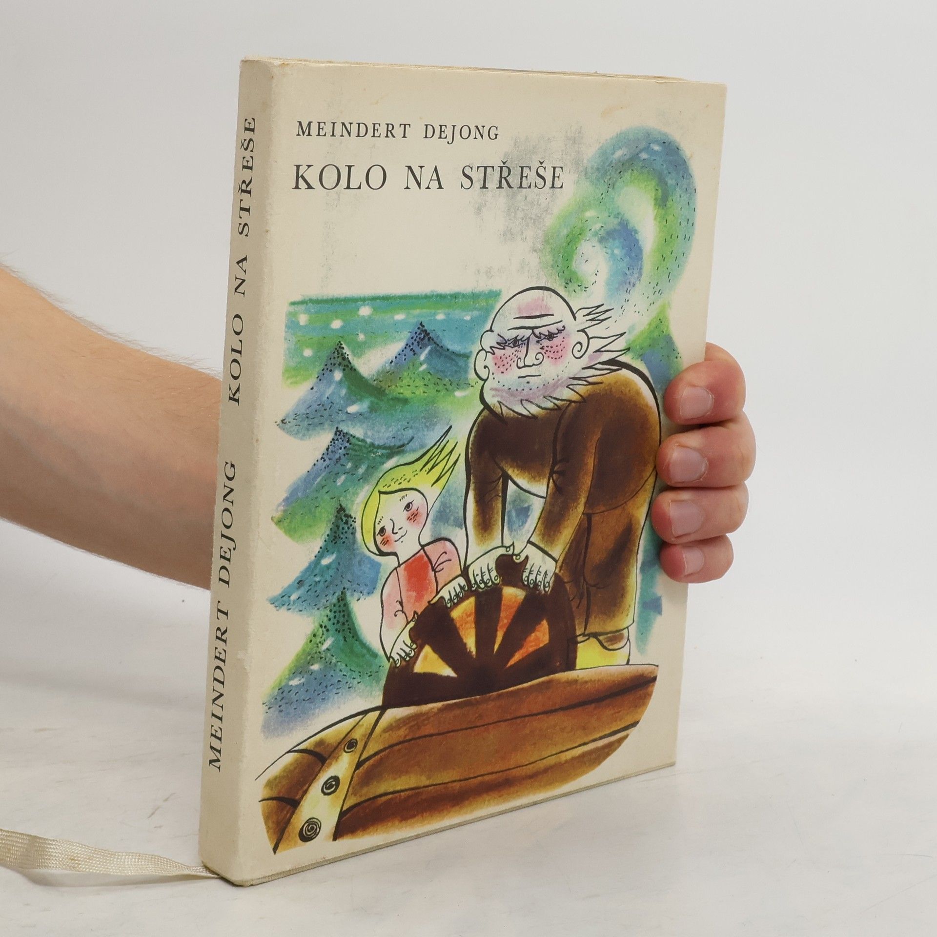 De Jong Meindert Kolo na střeše