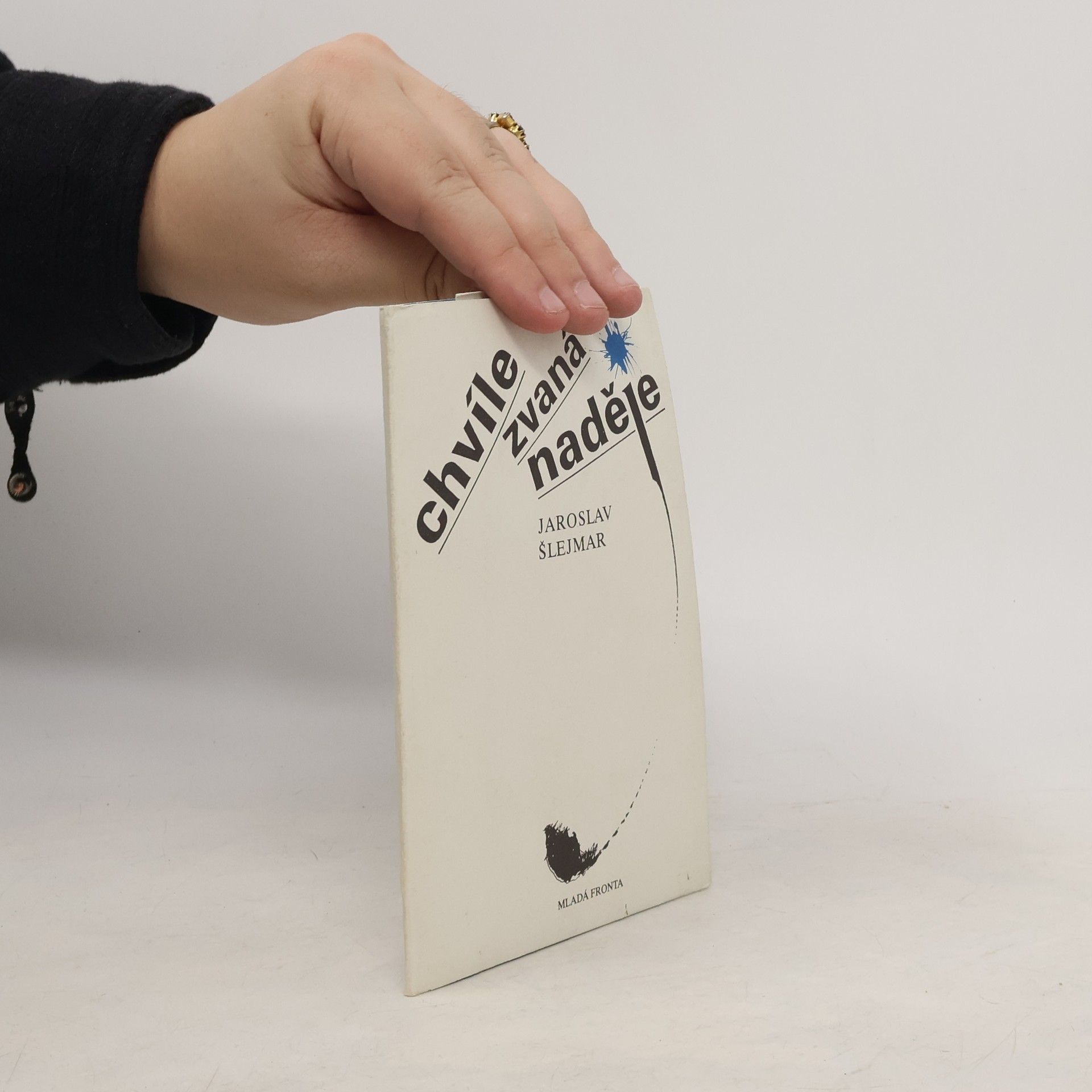 Chvíle zvaná naděje