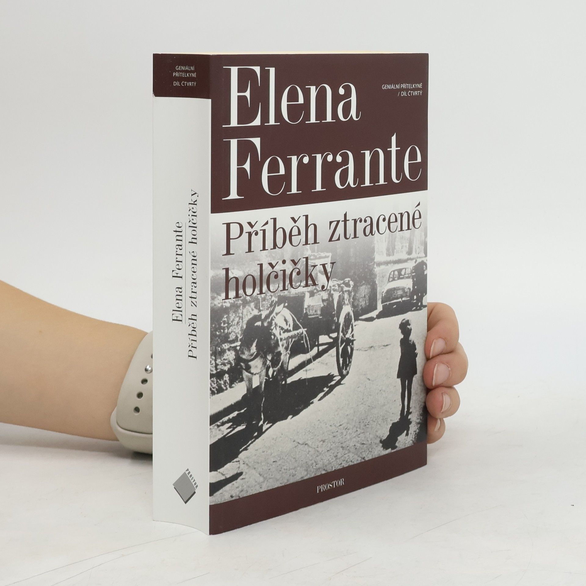 Elena Ferrante Příběh ztracené holčičky. Geniální přítelkyně. 4. díl