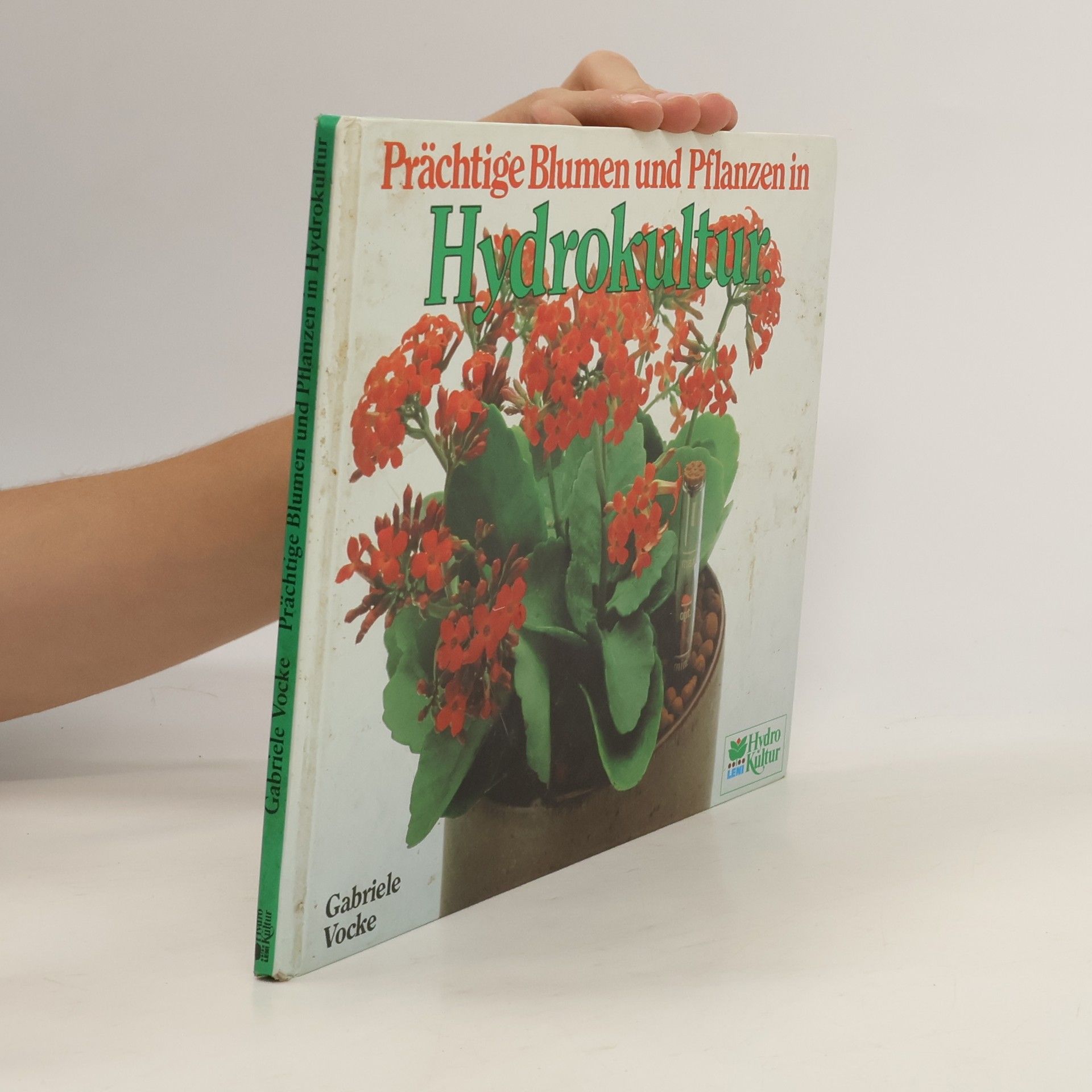 Gabrielle Vocke Prächtige Blumen und Pflanzen in Hydrokultur