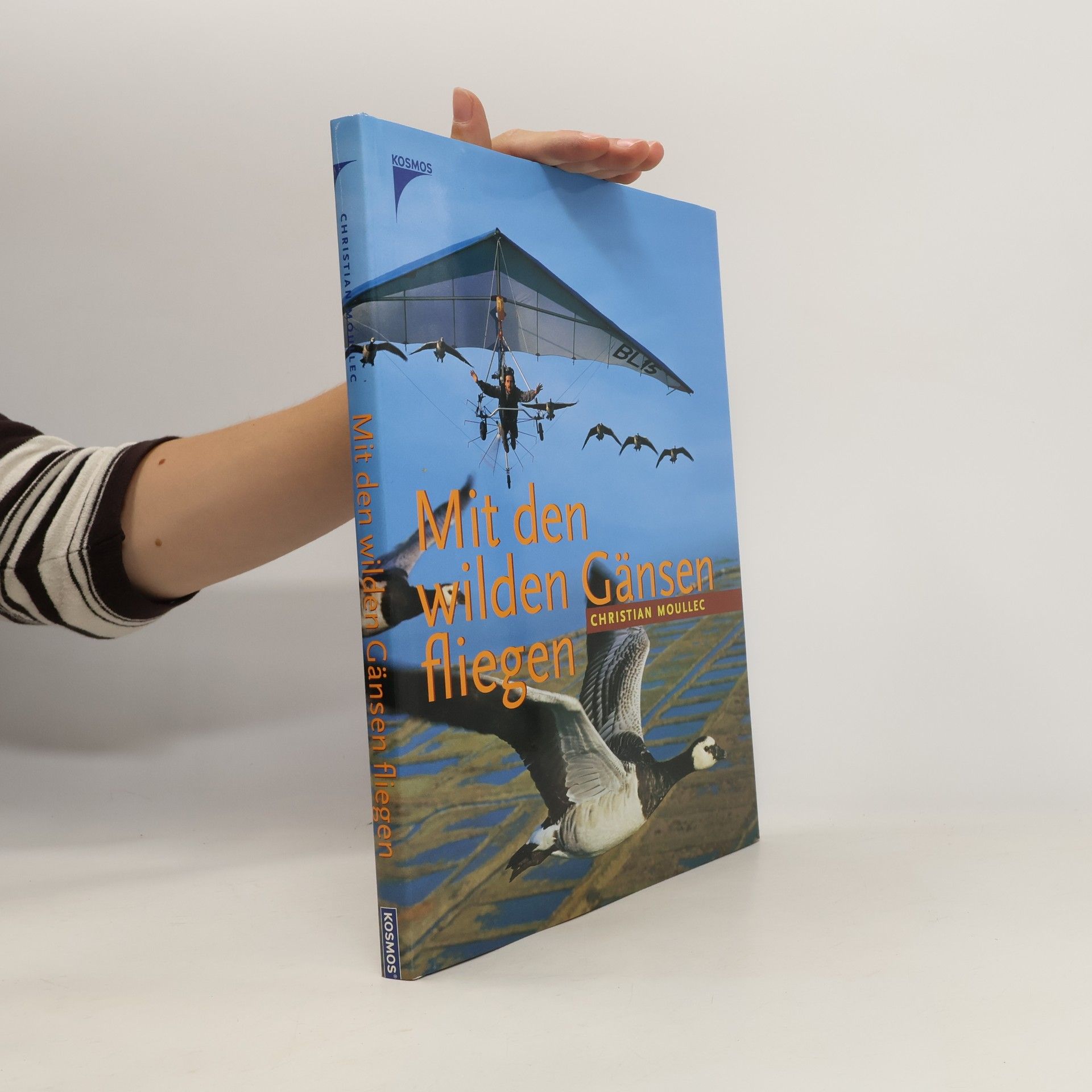 Christian Moullec Mit den wilden Gänsen fliegen