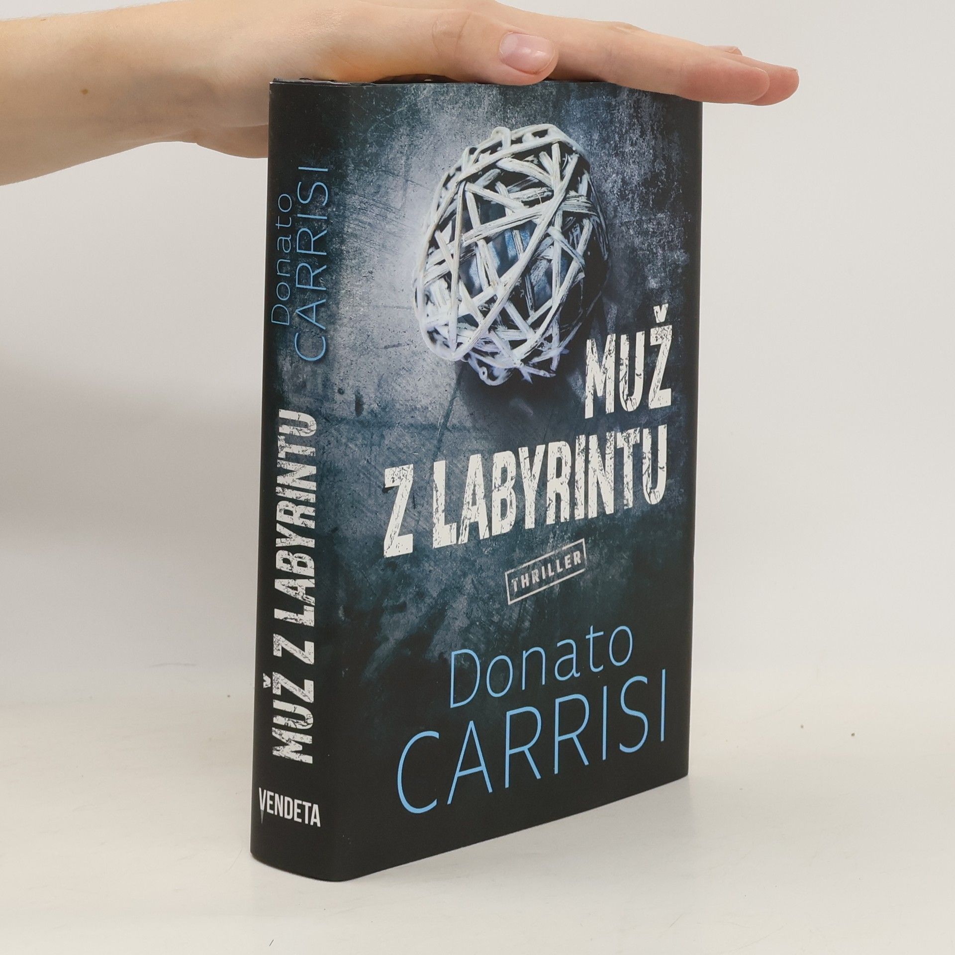Donato Carrisi Muž v labyrintu