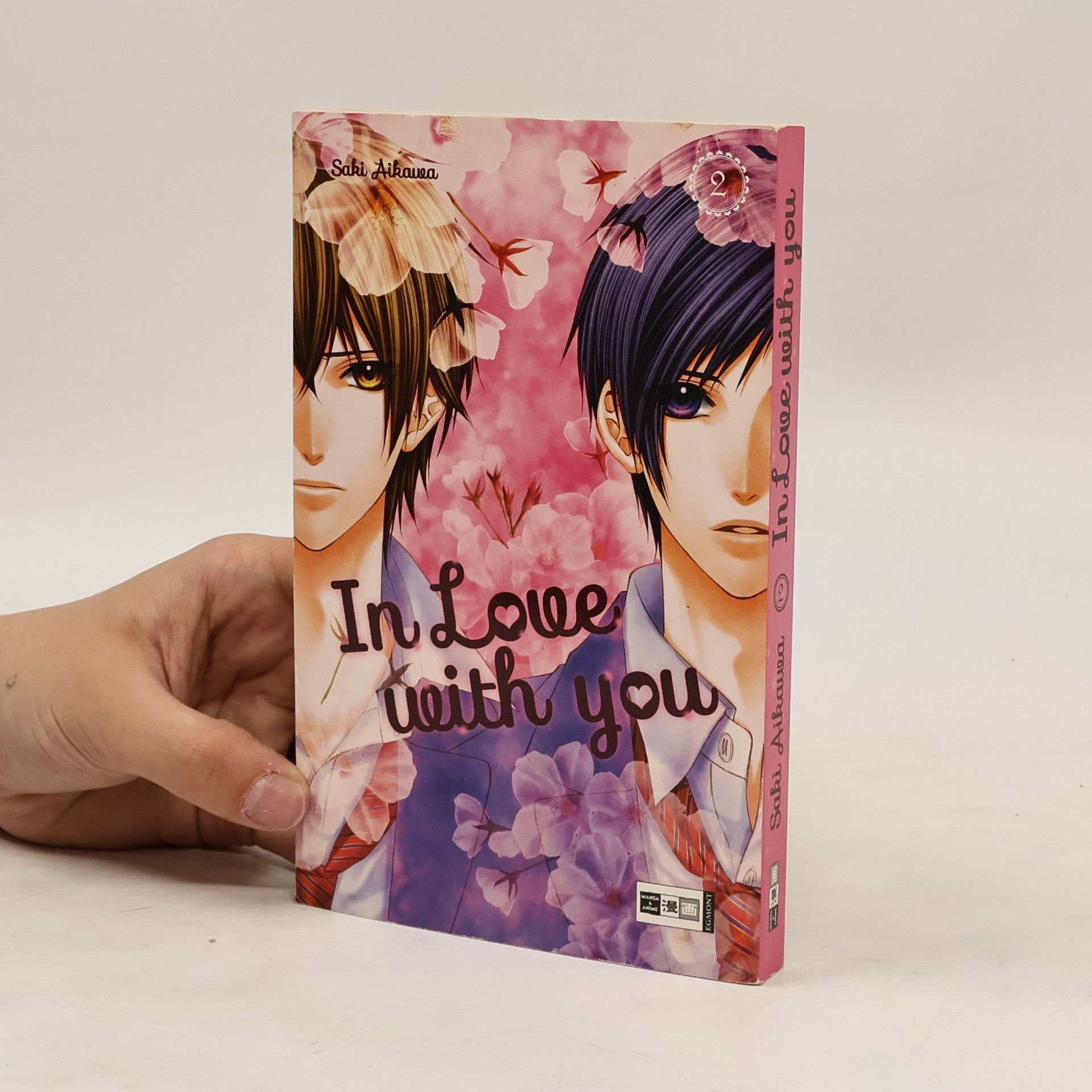Saki Aikawa In love with you 2