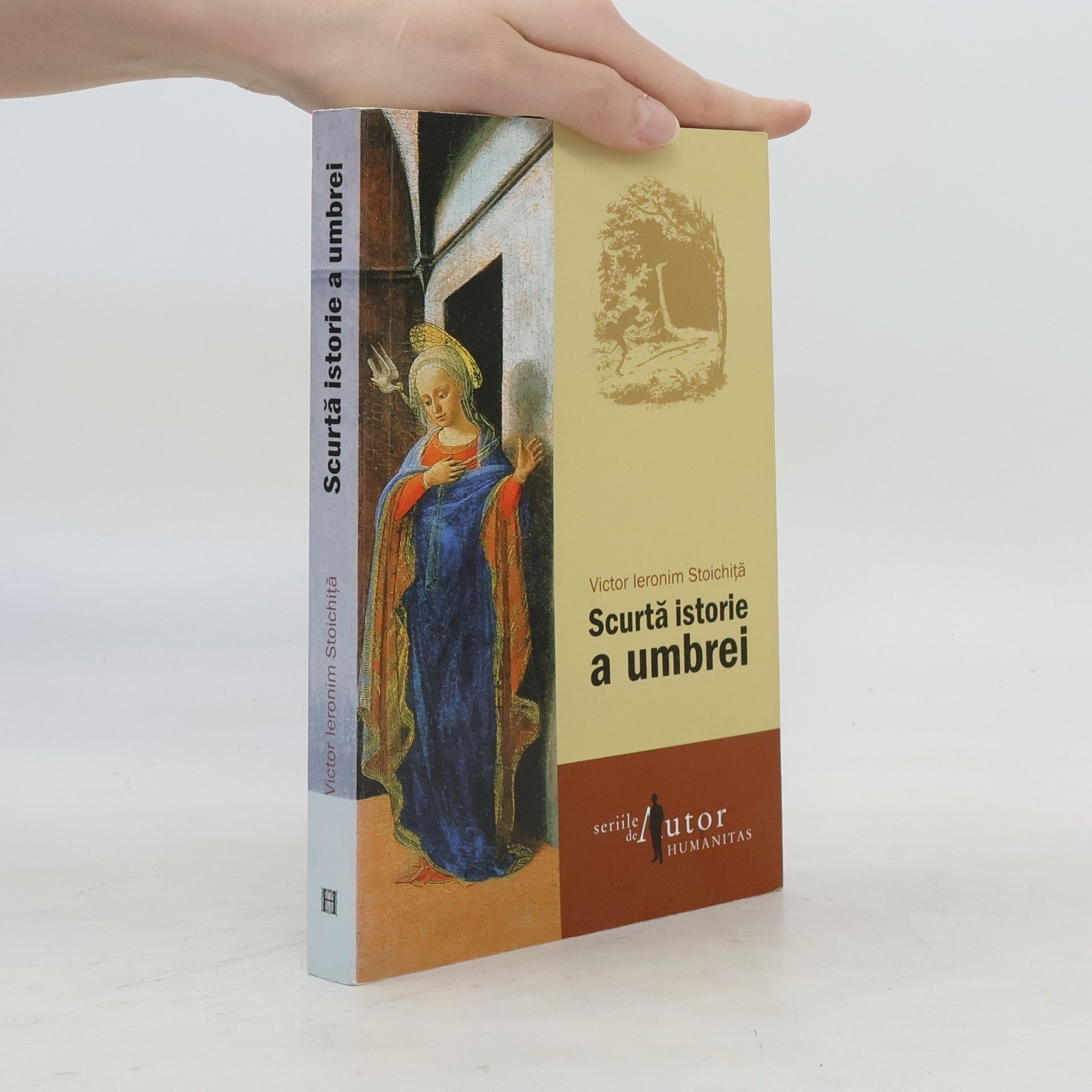 Victor I. Stoichit a. Scurtă istorie a umbrei