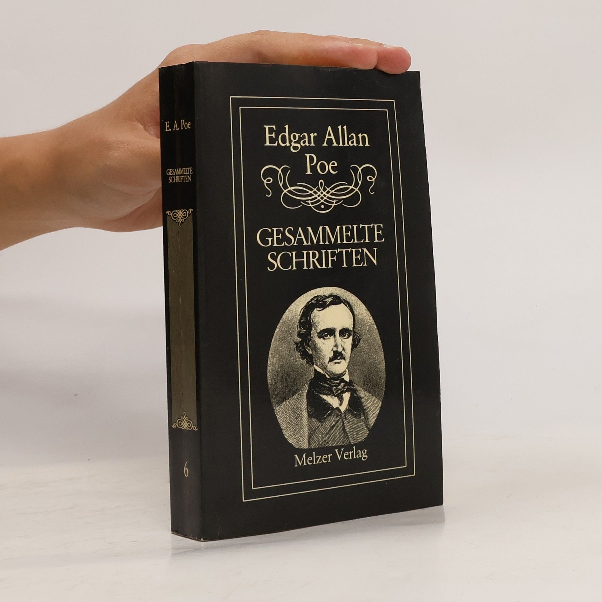 Edgar Allan Poe Gesammelte Schriften 6
