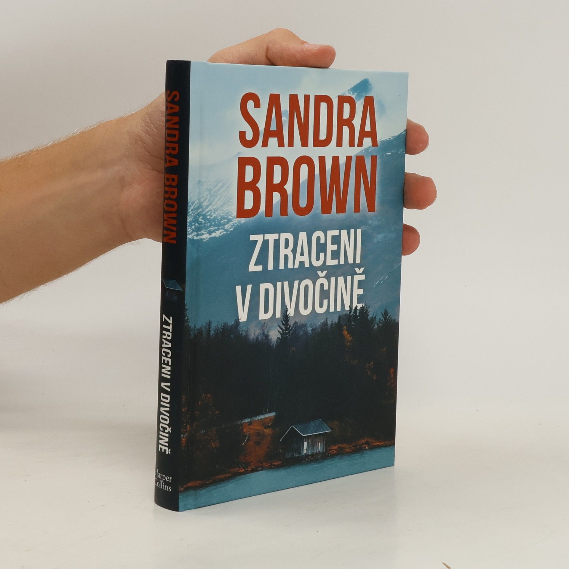 Sandra Brown Ztraceni v divočině