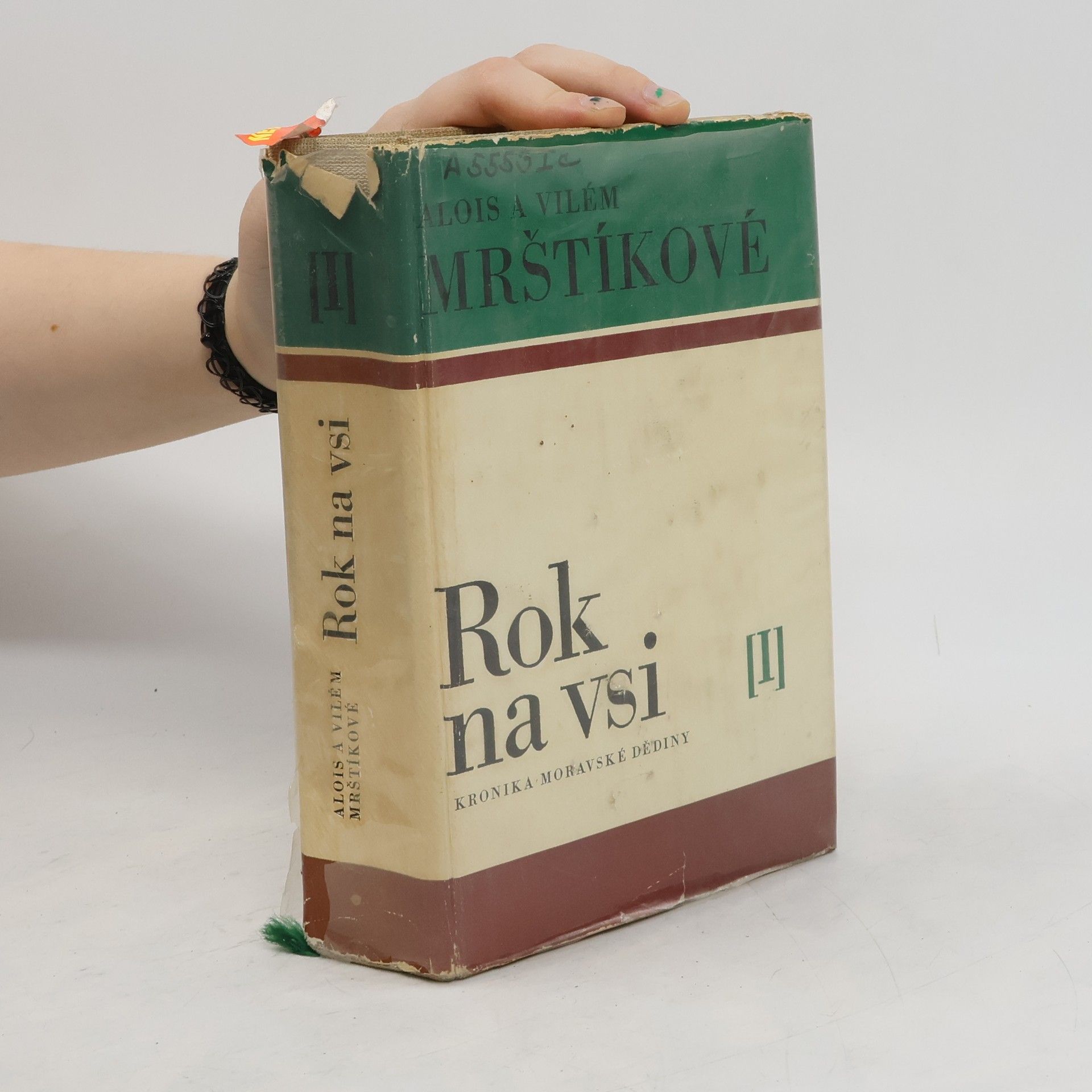 Alois Mrštík Rok na vsi I.