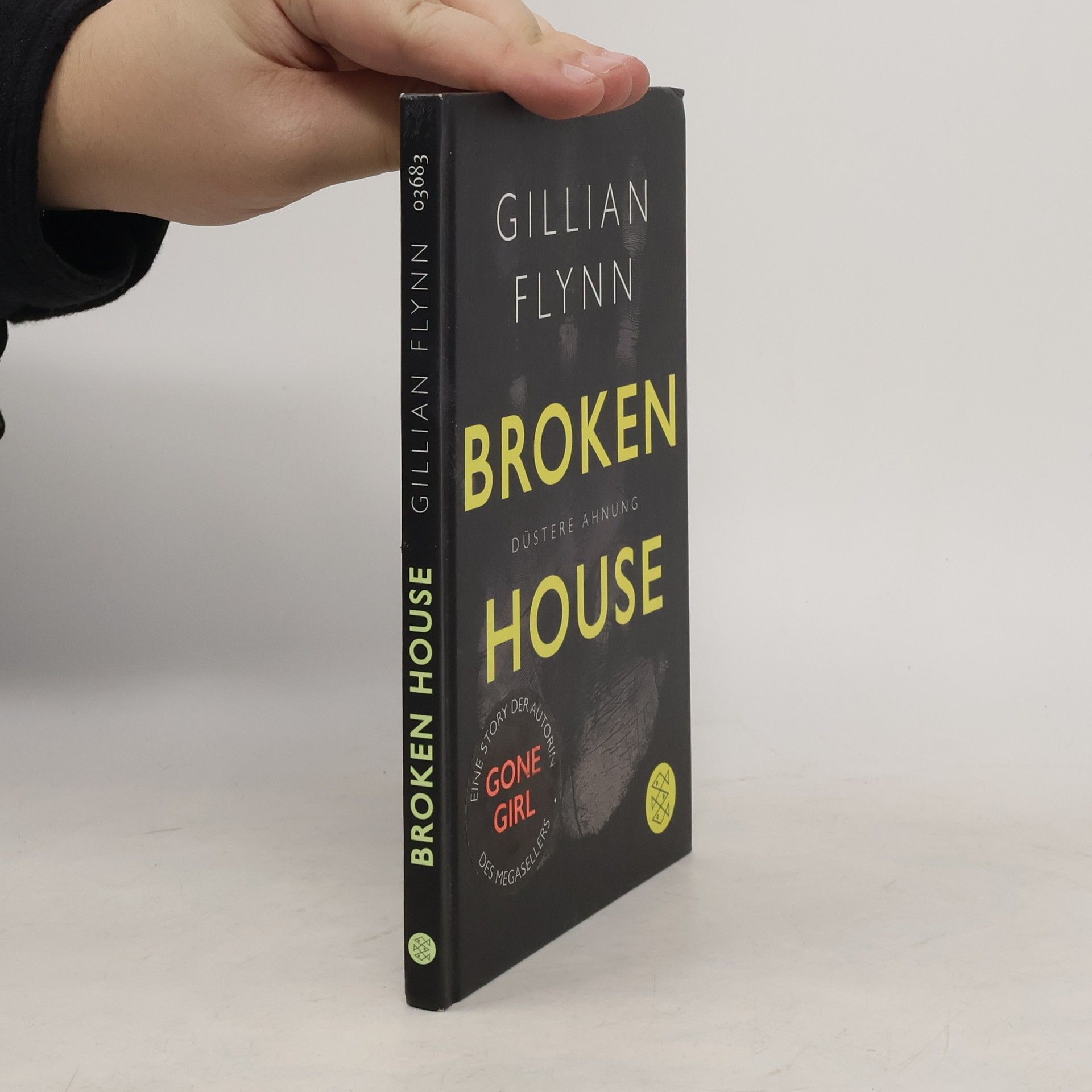 Gillian Flynn Broken House