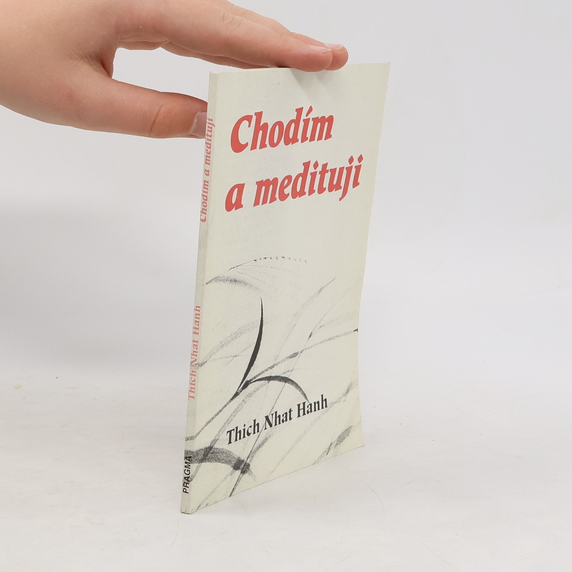 Thich Nhat Hanh Chodím a medituji