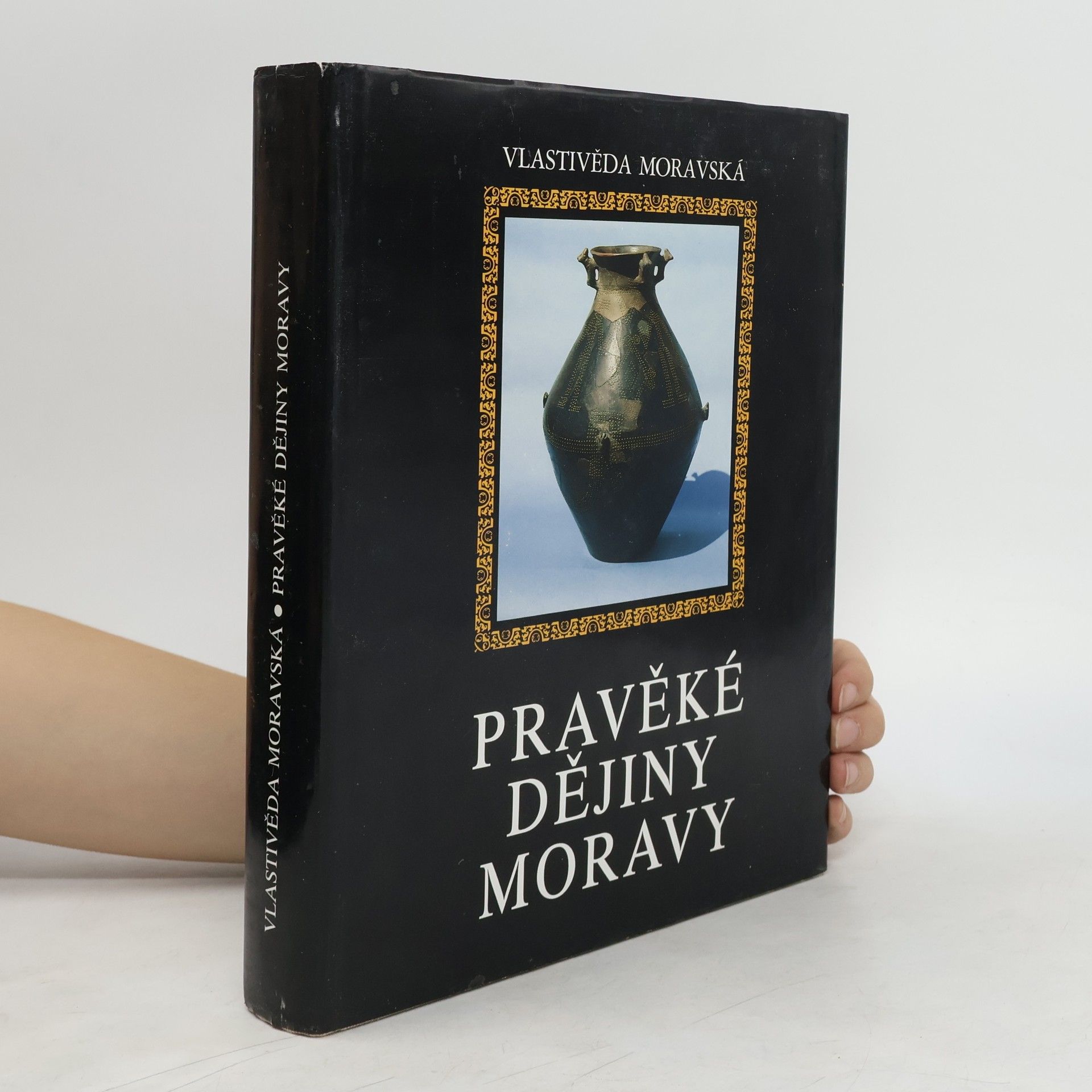 Vladimír Podborský Pravěké dějiny Moravy, Nová řada - Sv. 3