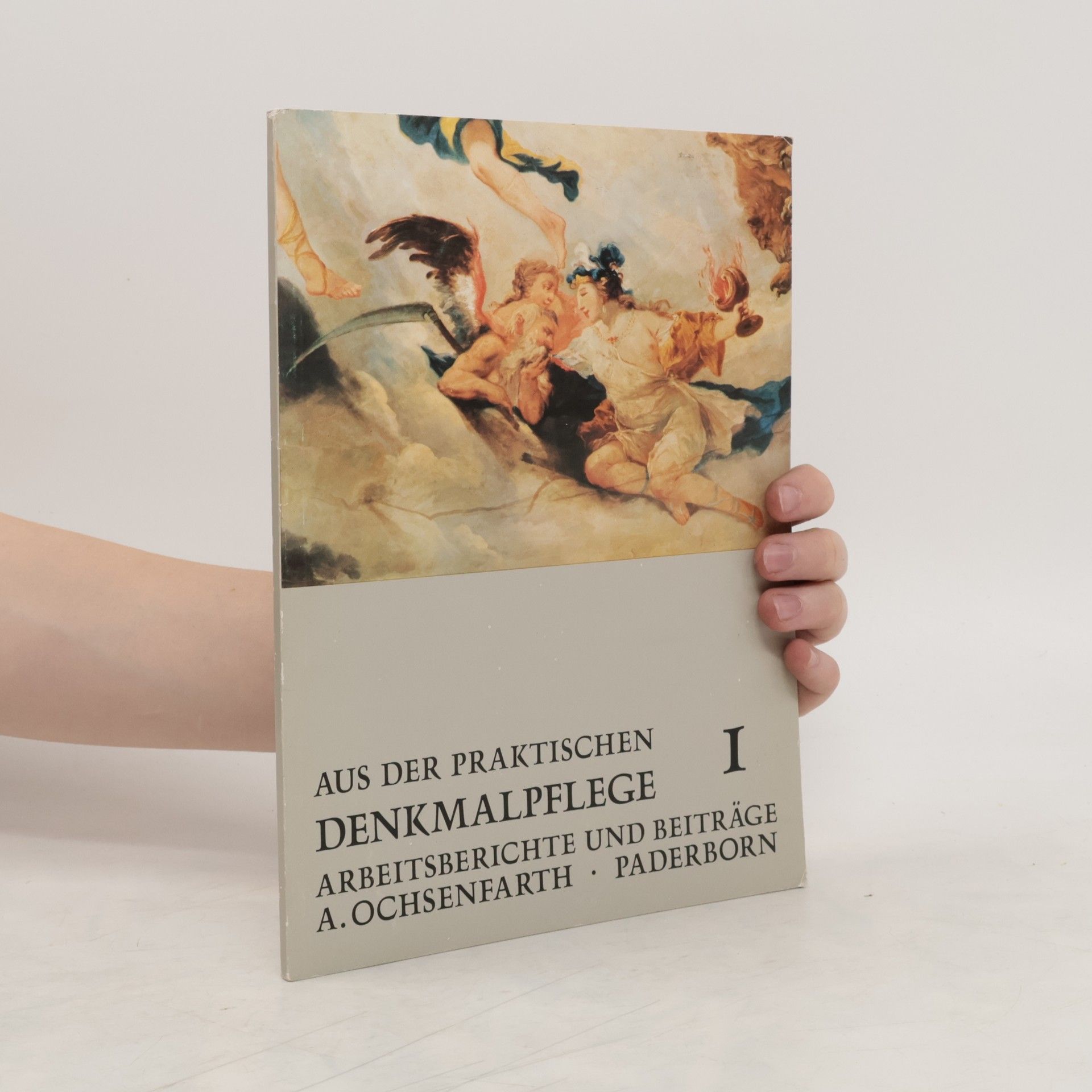 Collectif d'auteurs Aus der praktischen Denkmalpflege I.