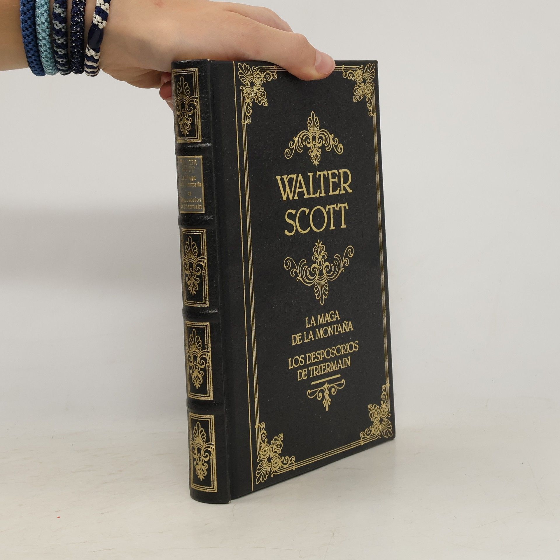 Walter Scott La maga de la montaña. Los desposorios de Triermain