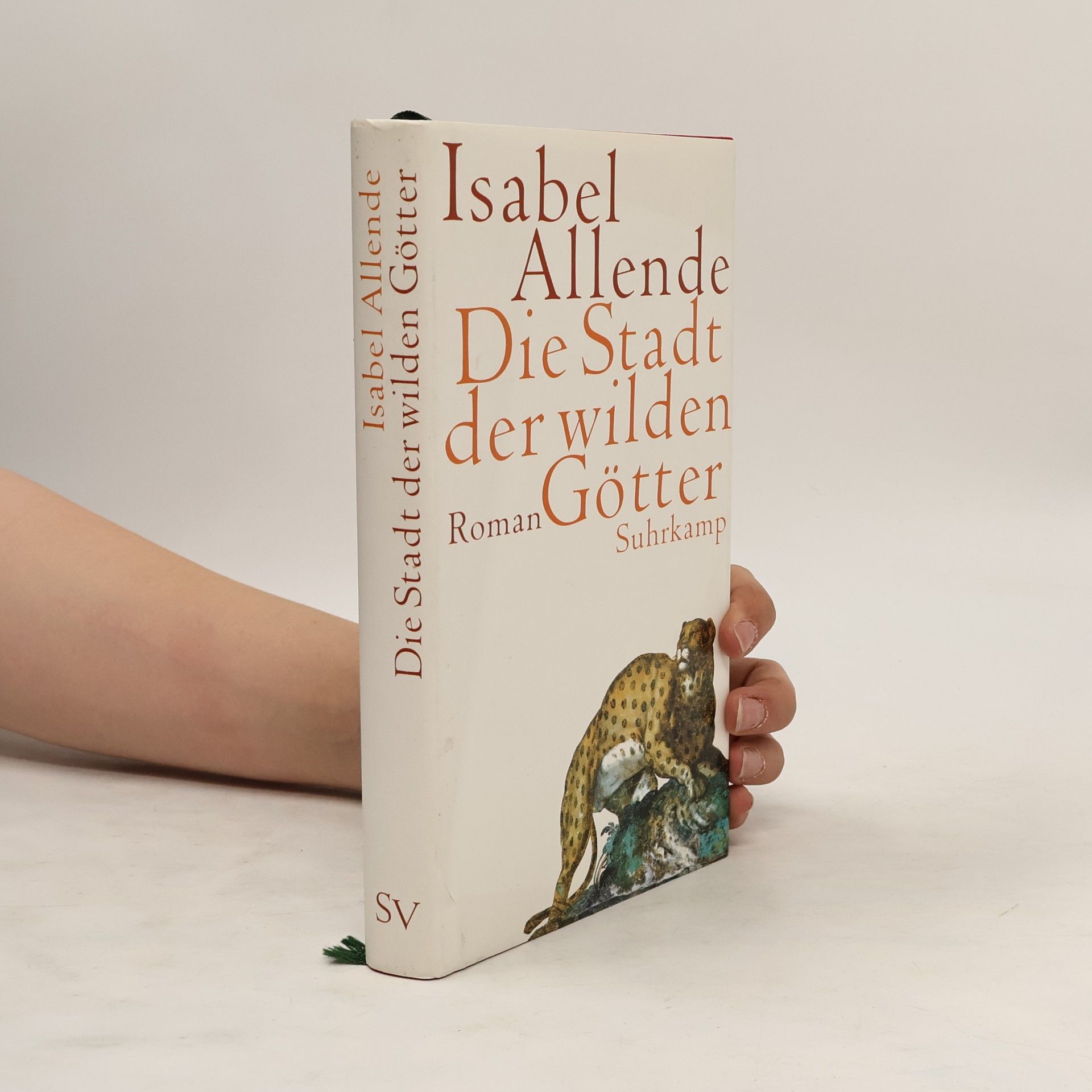 Isabel Allende Die Stadt der wilden Götter