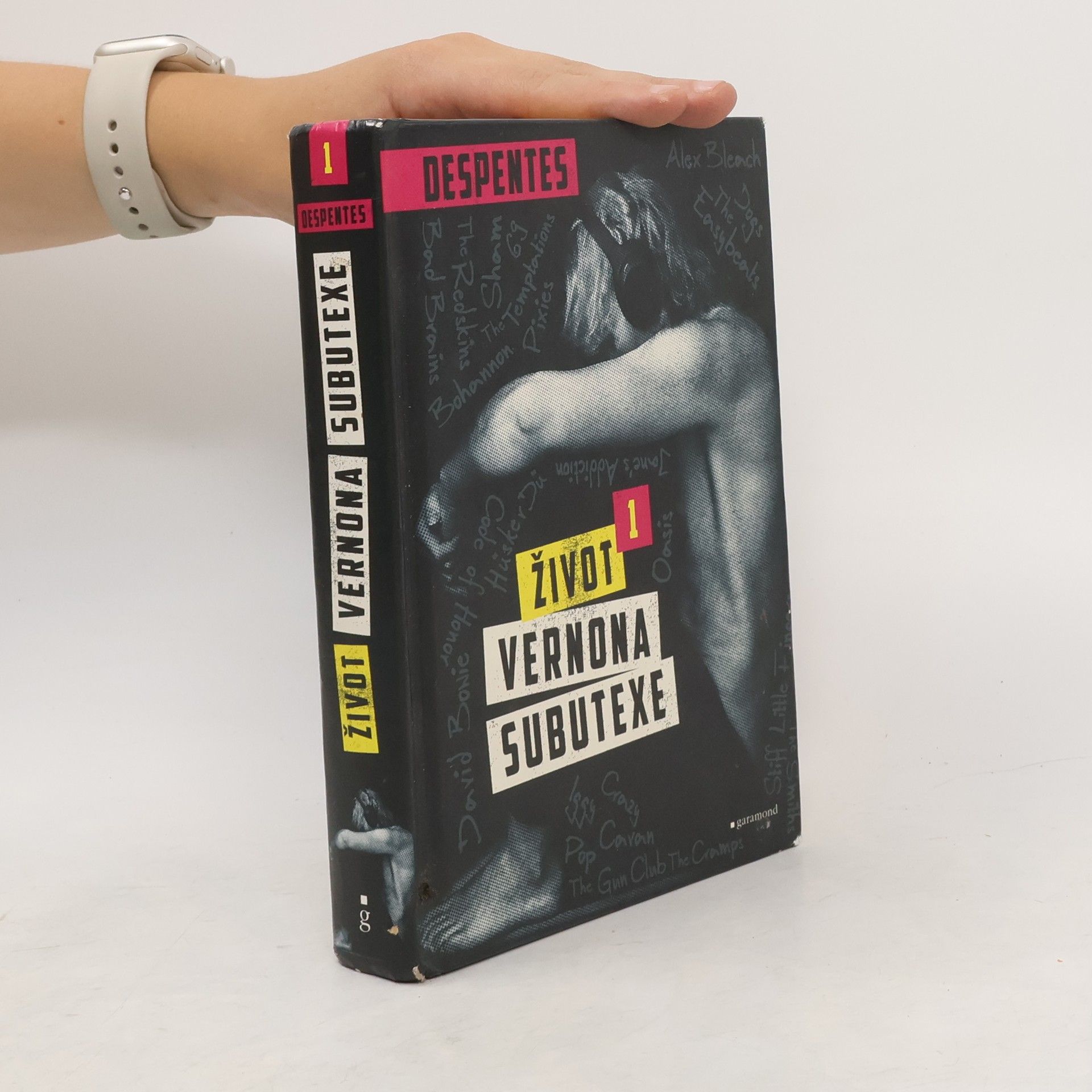 Virginie Despentes Život Vernona Subutexe. Díl 1.