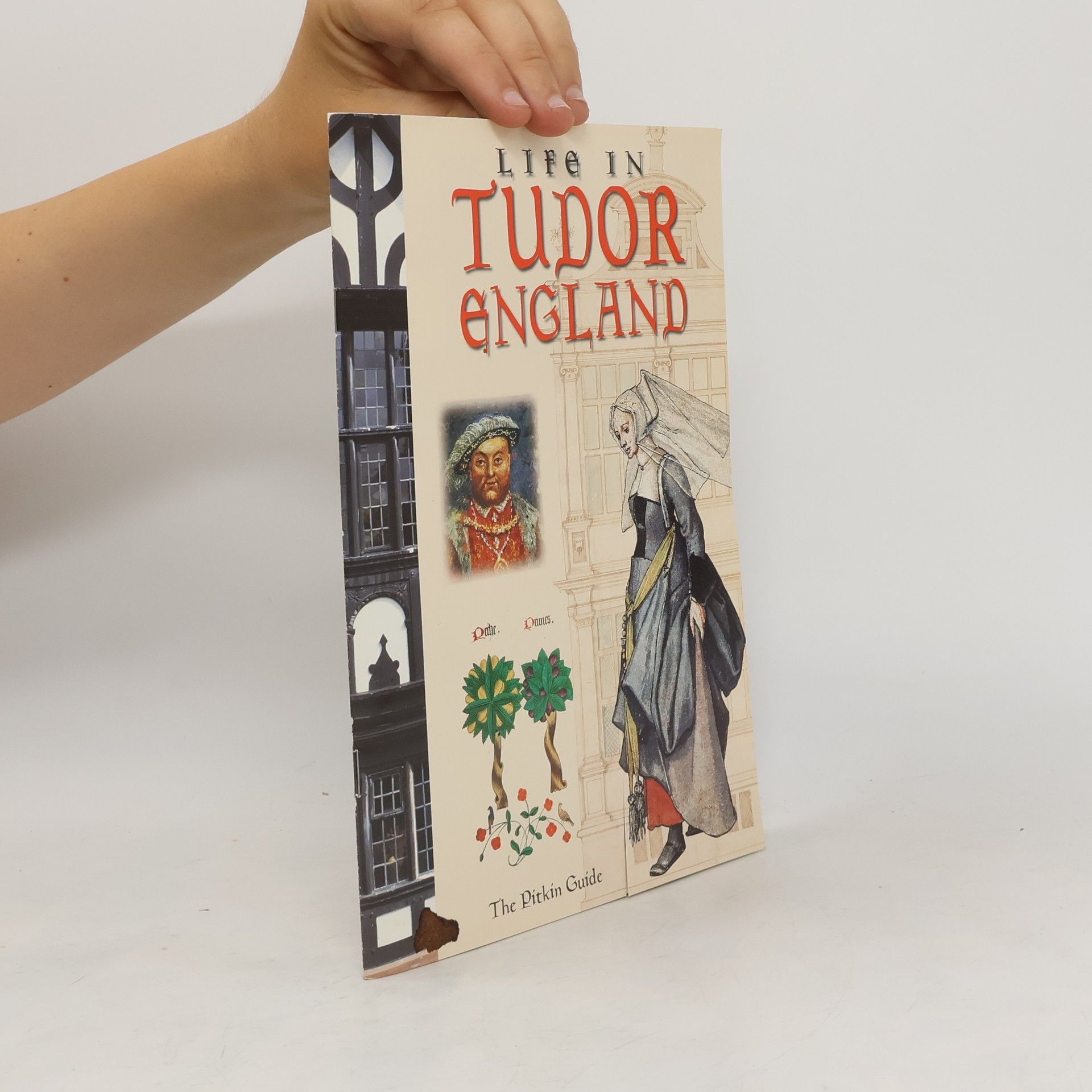 Peter Brimacombe Life in Tudor England