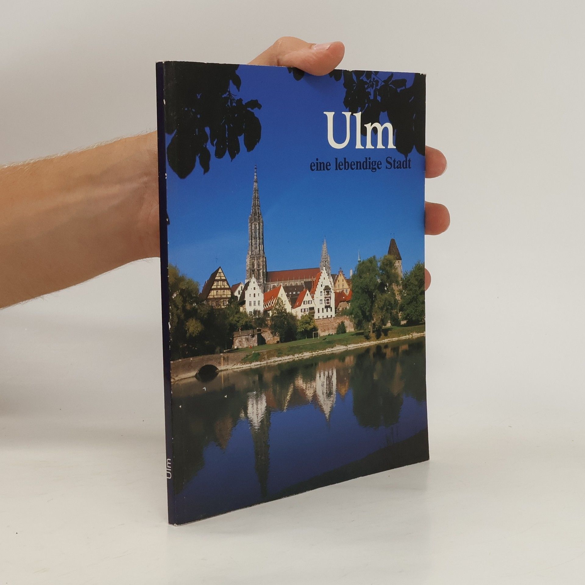 Autores varios Ulm, eine lebendige Stadt.