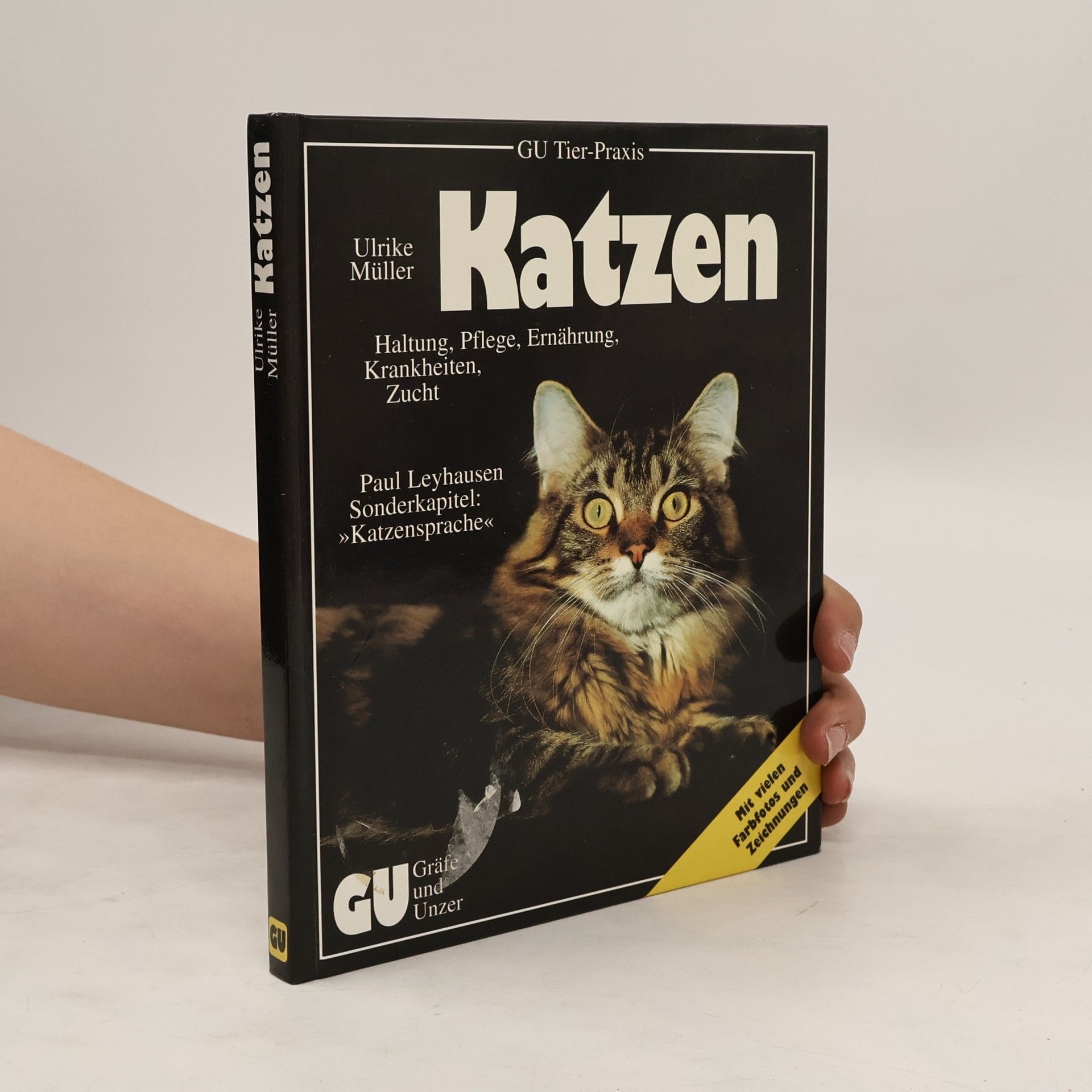 Ulrike Müller Katzen