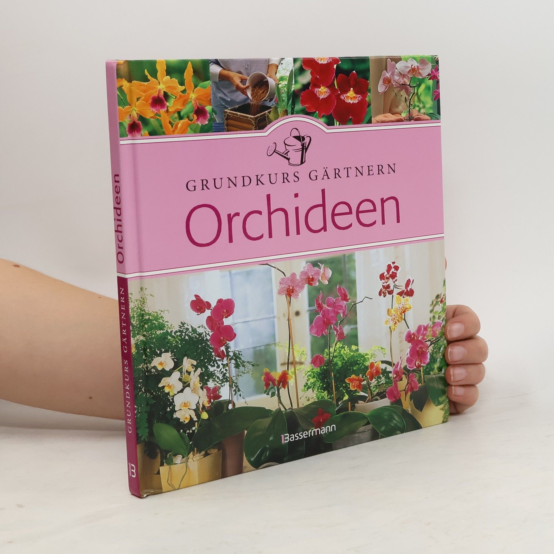 Bénédicte Boudassou Orchideen