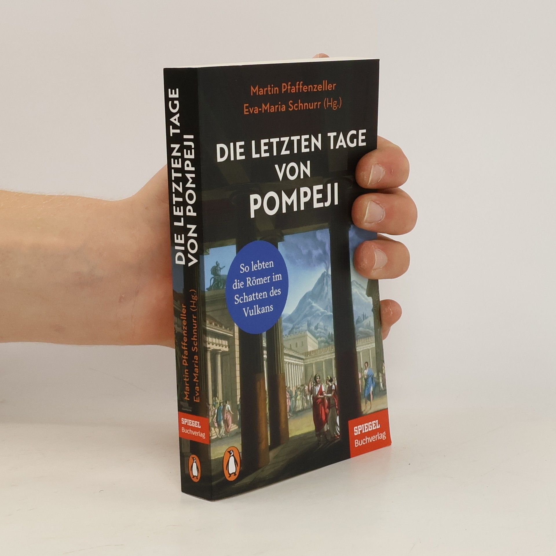 Martin Pfaffenzeller Die letzten Tage von Pompeji