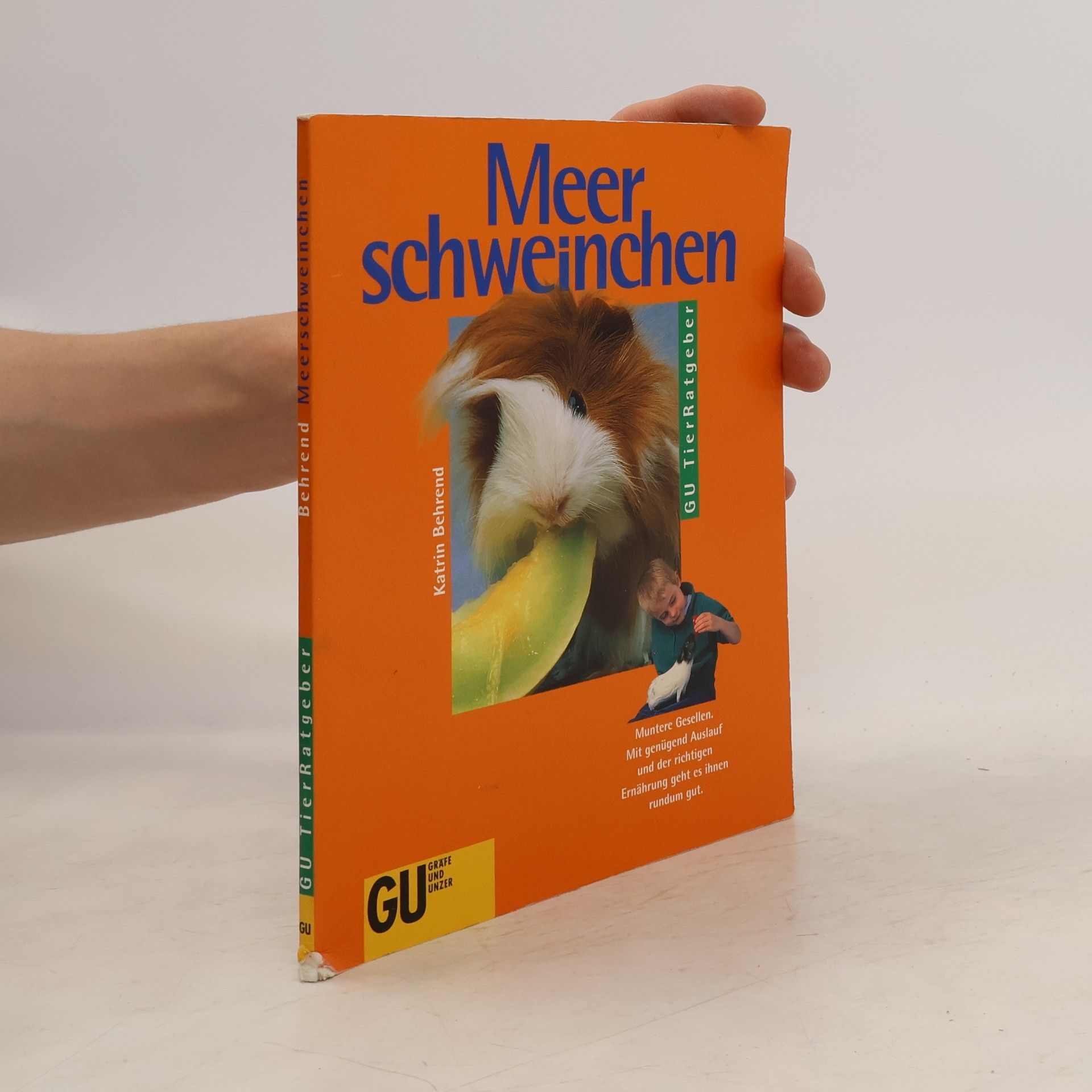 Katrin Behrend Meerschweinchen