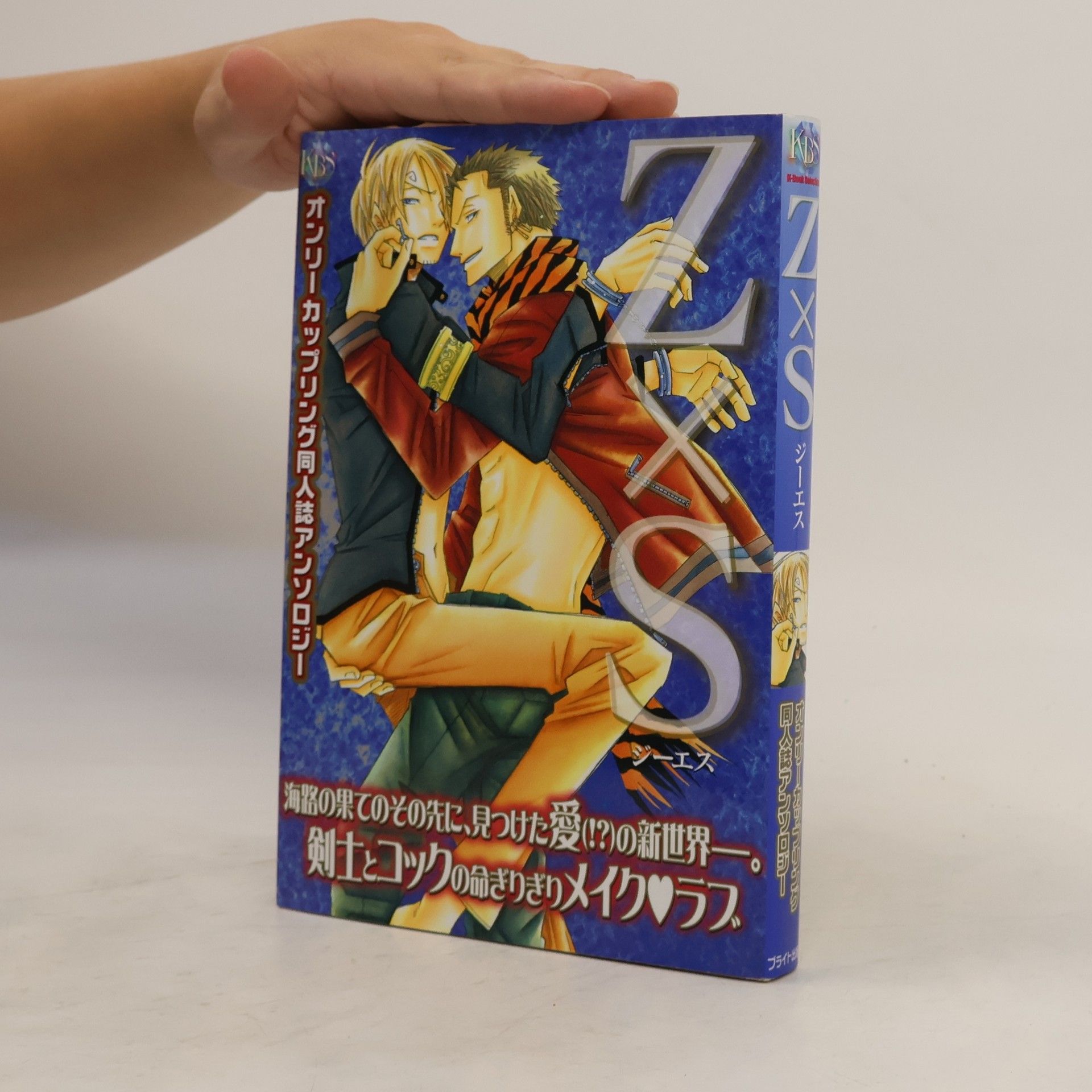 Collectif d'auteurs Z×s オンリ-カップリング同人誌アンソロジ-