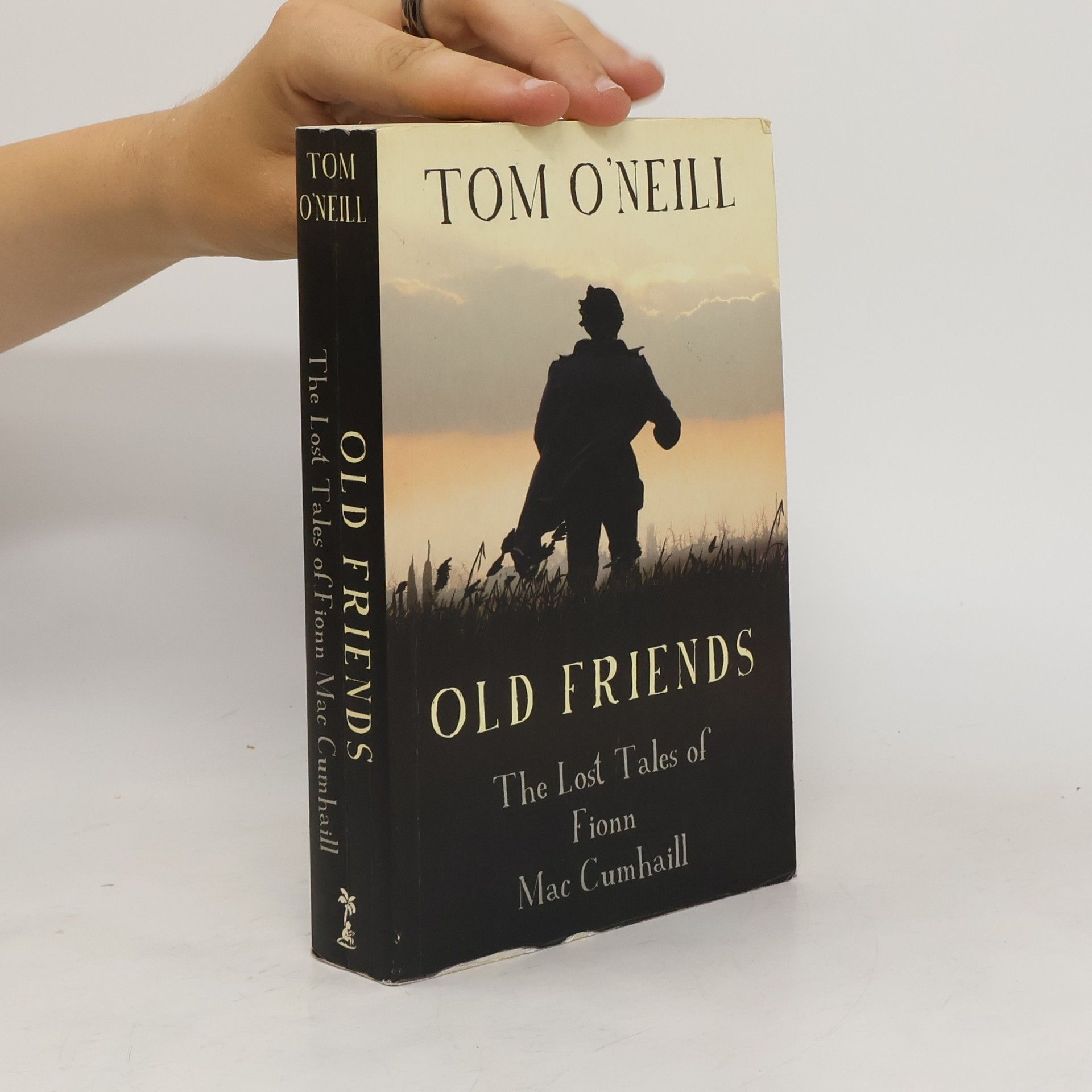Tom ONeill Old Friends: The Lost Tales of Fionn Mac Cumhaill