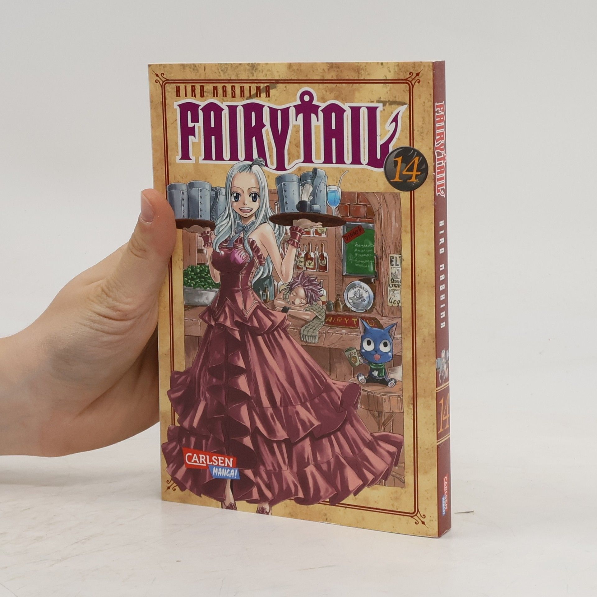 Hiro M. Fairy Tail 14