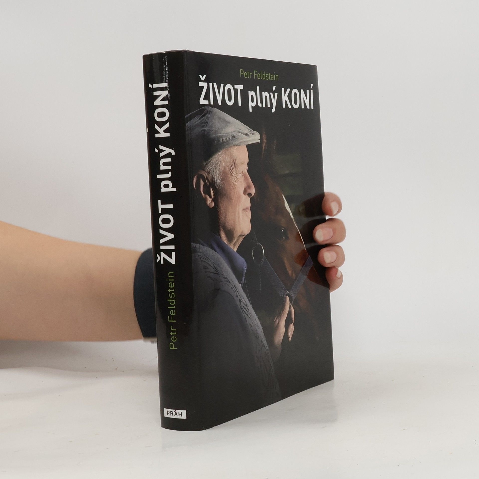 Petr Feldstein Život plný koní