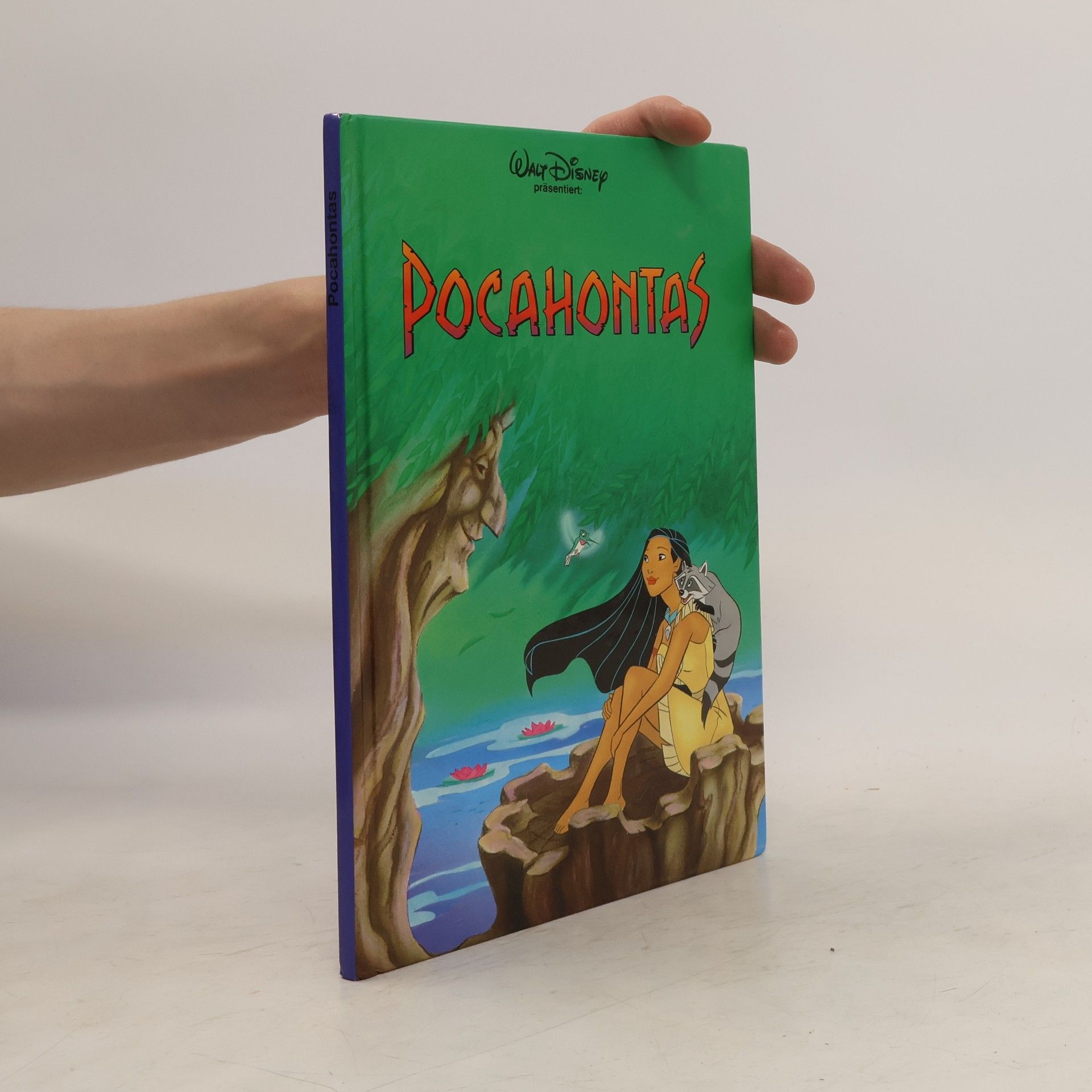 Walt Disney Pocahontas