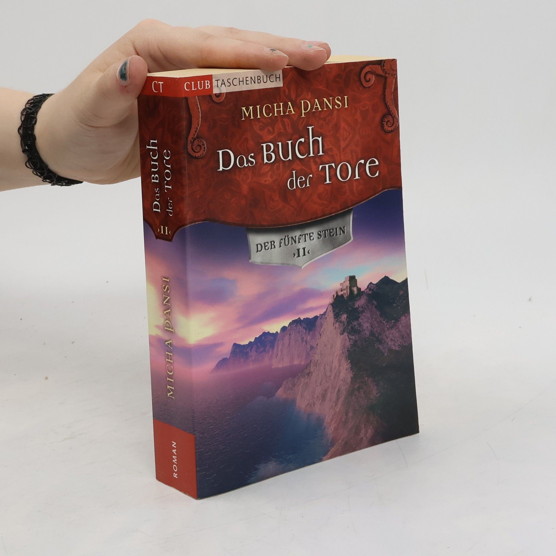 Micha Pansi Das Buch der Tore II