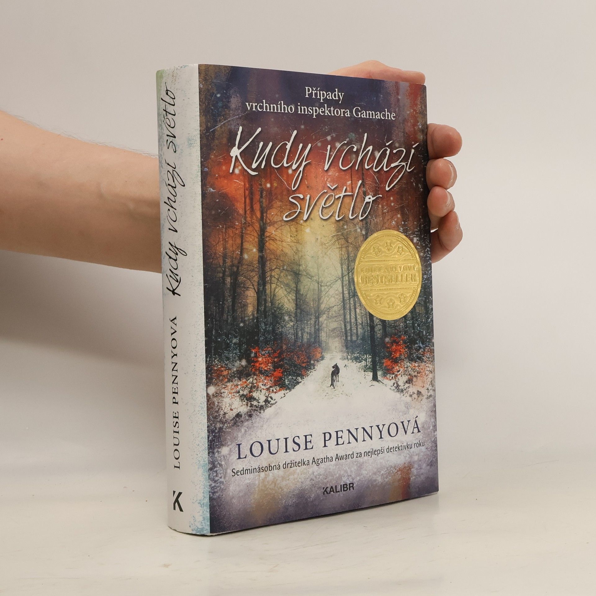 Louise Penny Kudy vchází světlo