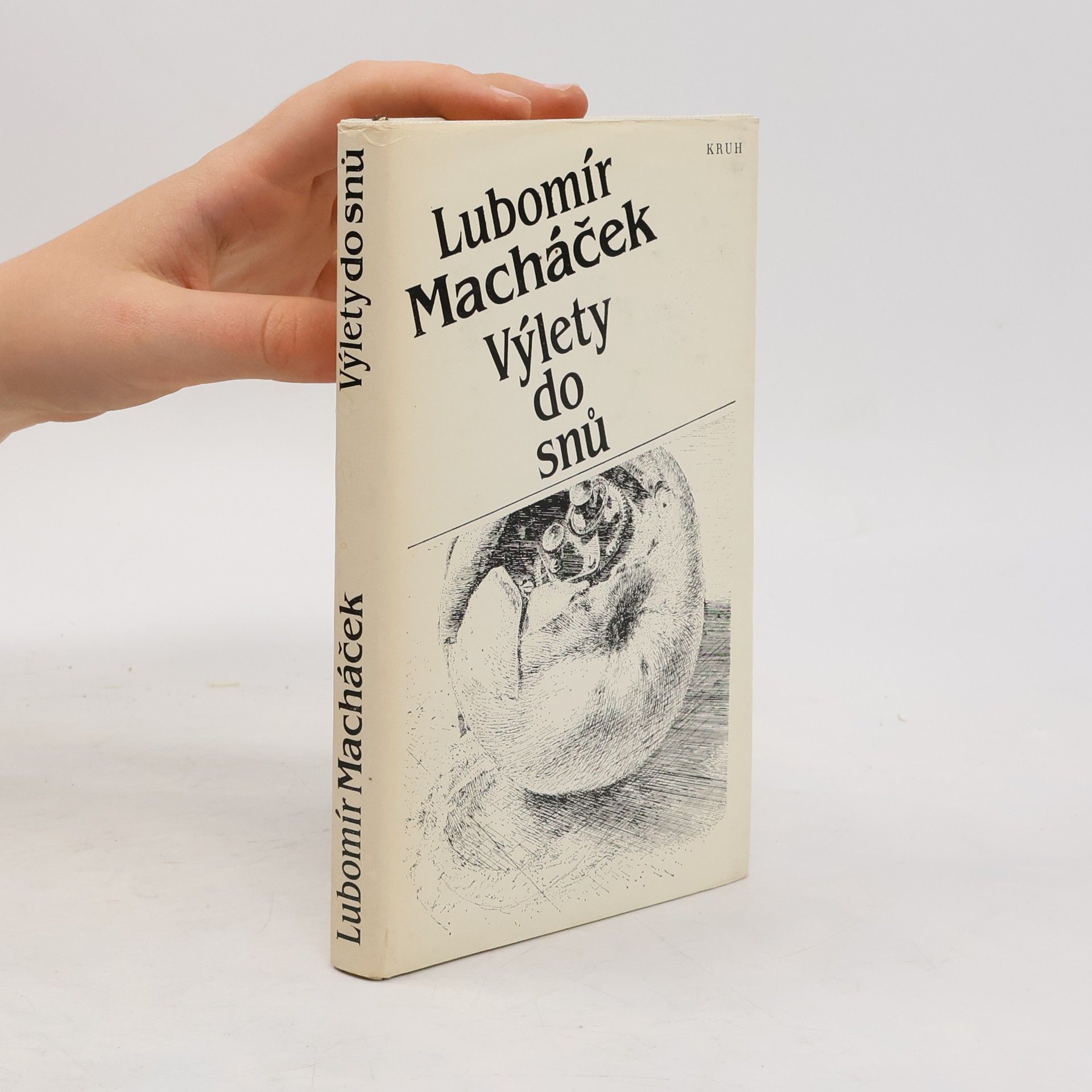 Lubomír Macháček Výlety do snů