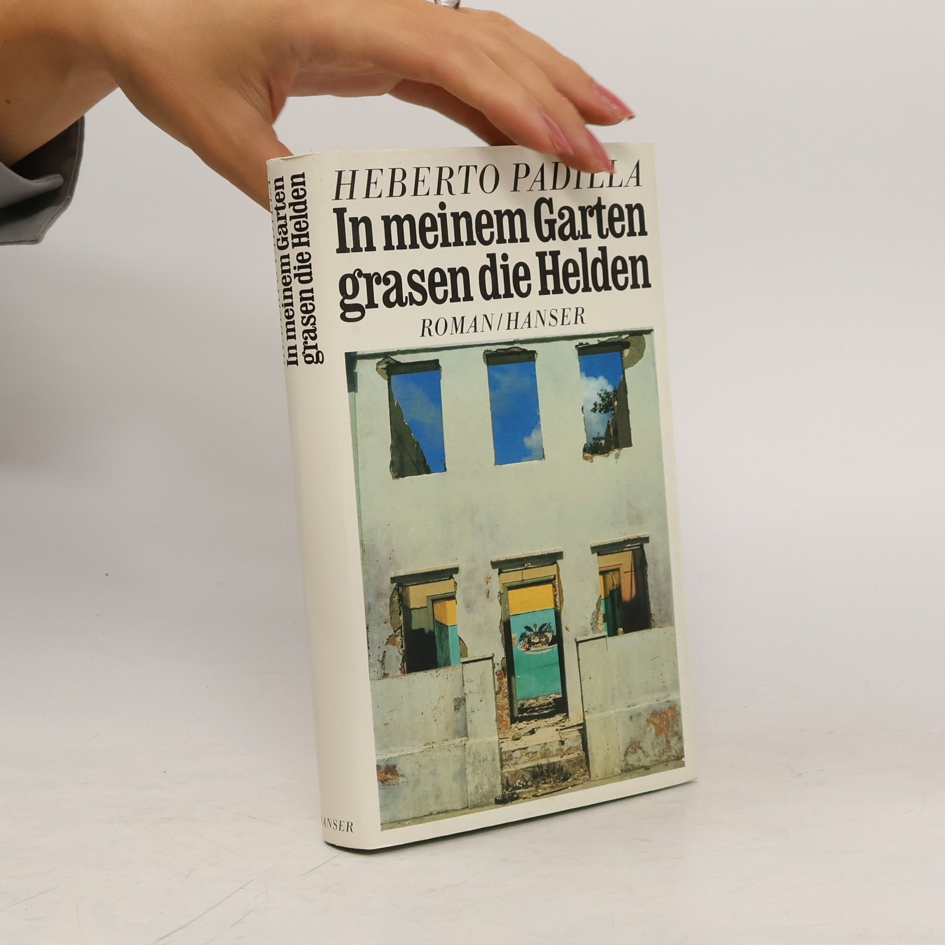 Gisbert Haefs In meinem Garten grasen die Helden. Roman