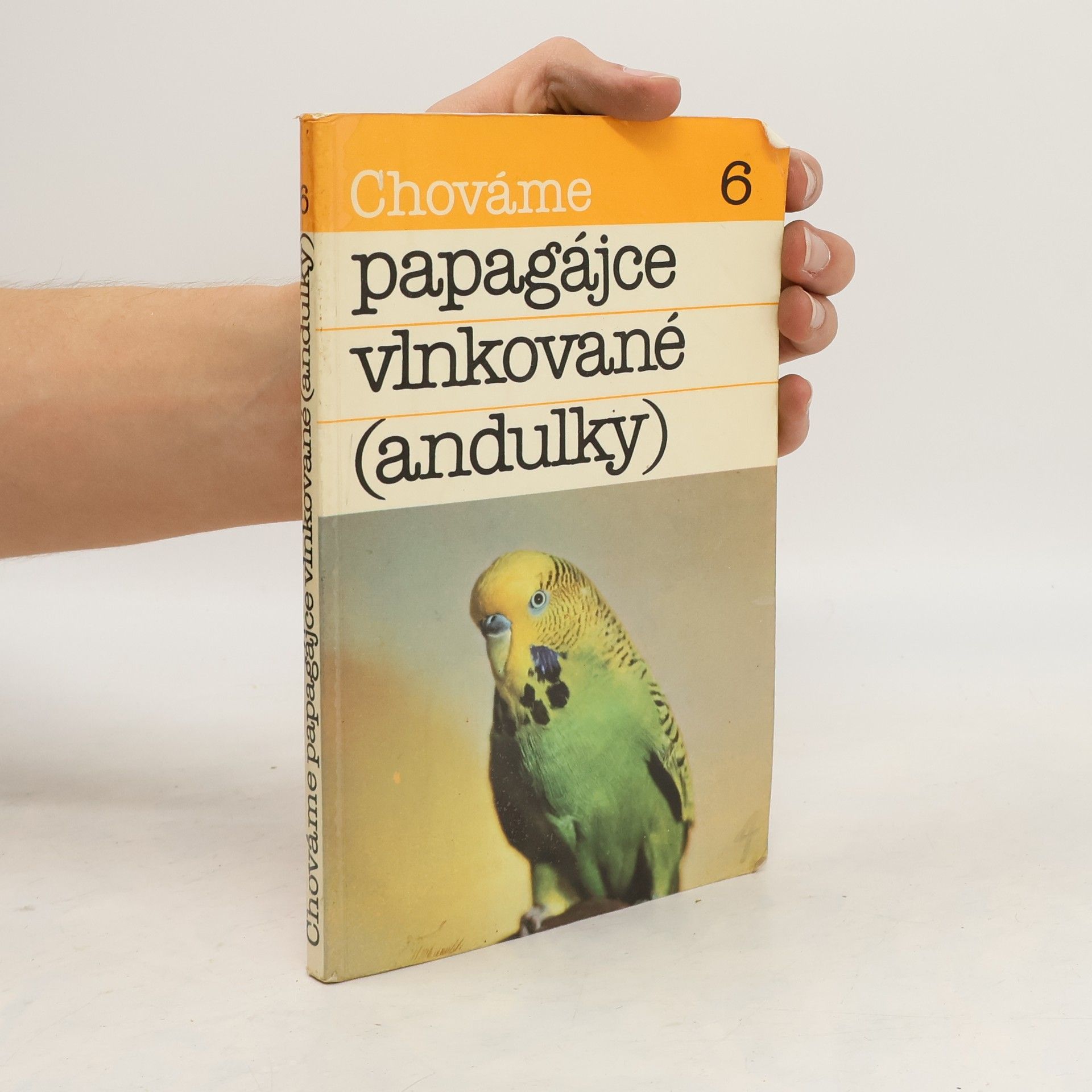 Bystrík Ambruš Chováme papagájce vlnkované (andulky)
