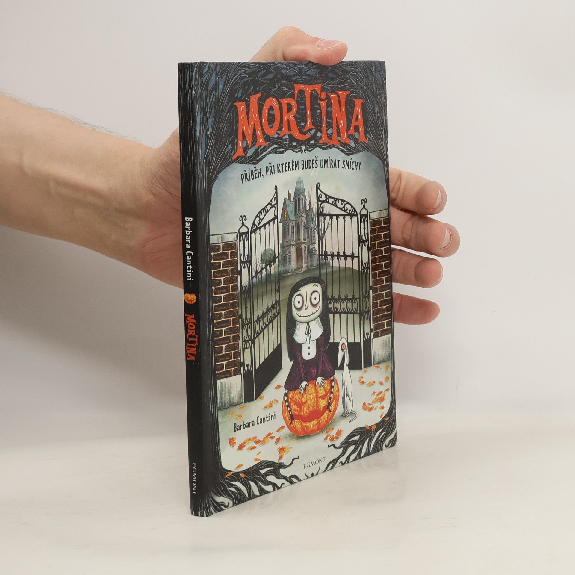 Barbara Cantini Mortina