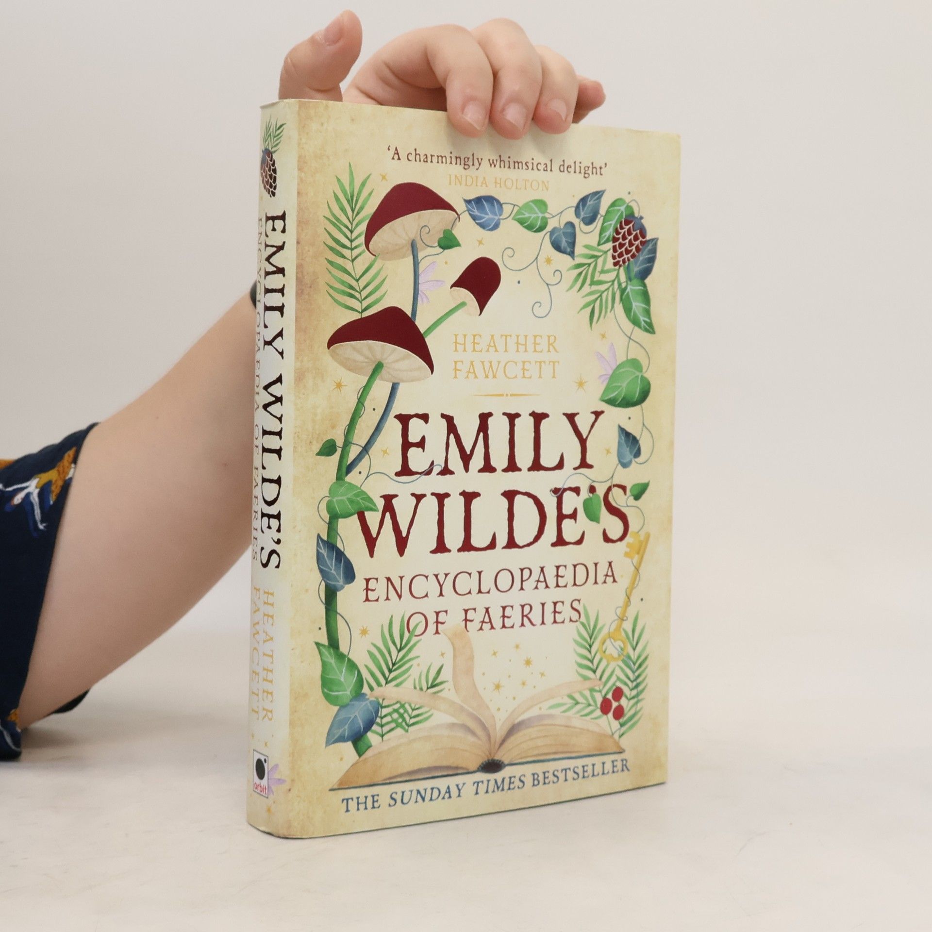 Heather Fawcett Emily Wilde's Encyclopaedia of Faeries