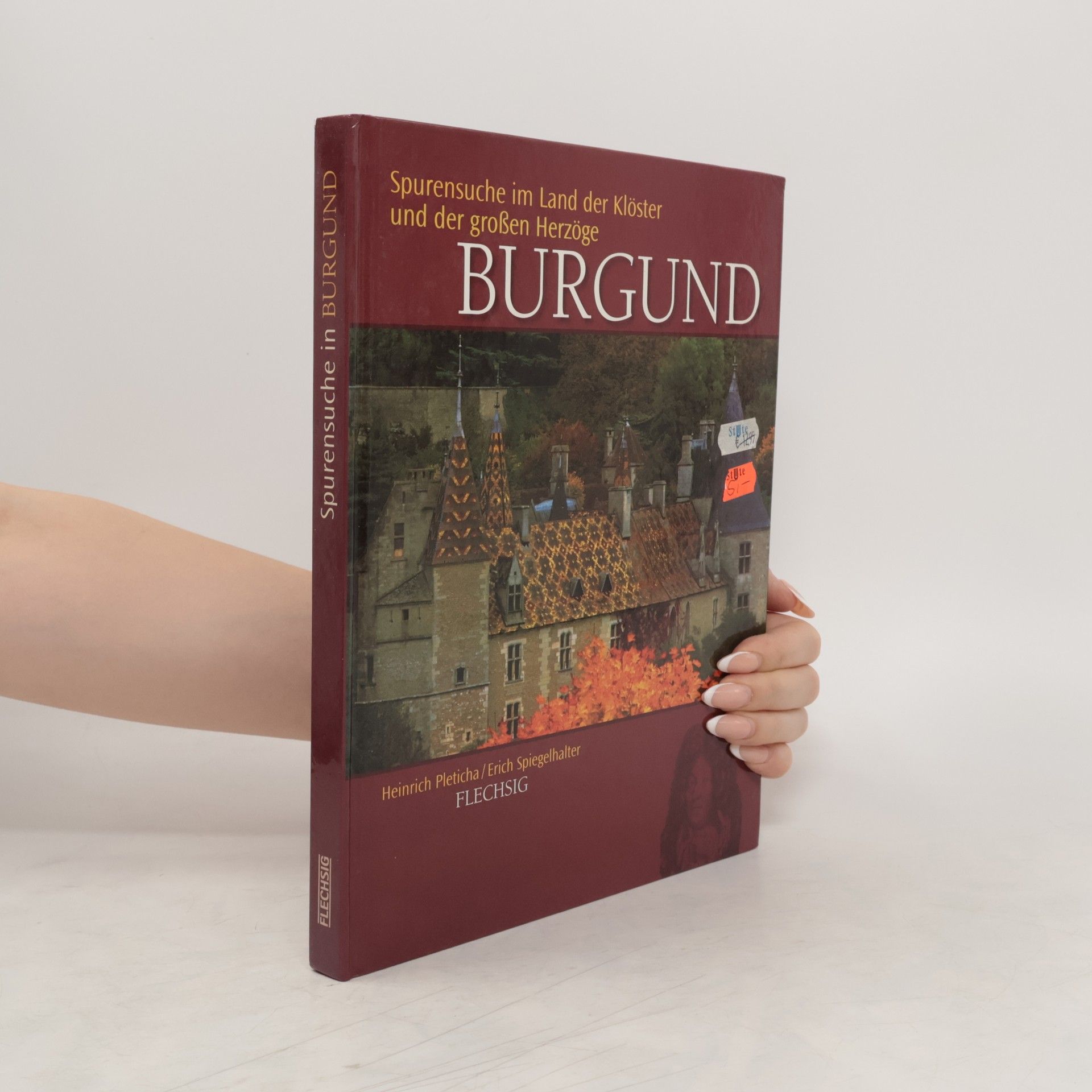 Heinrich Pleticha Burgund
