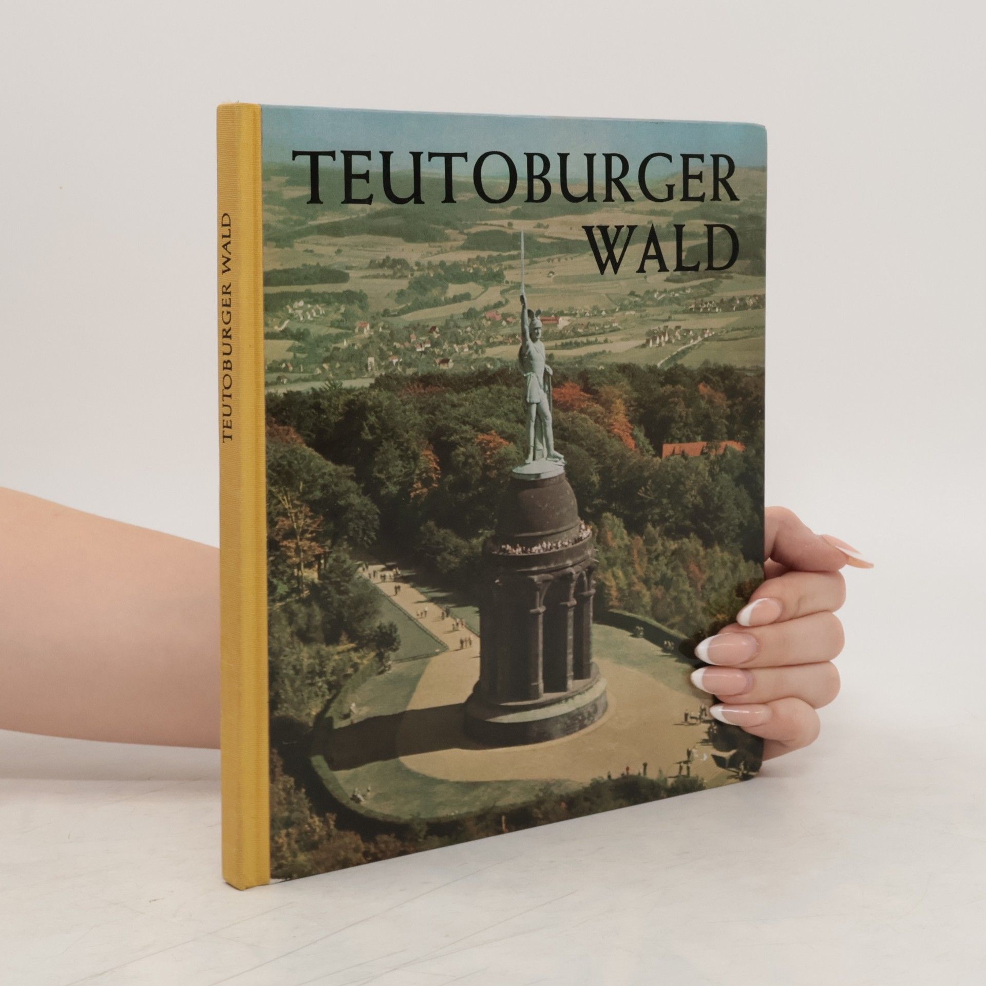 Collectif d'auteurs Teutoburger Wald
