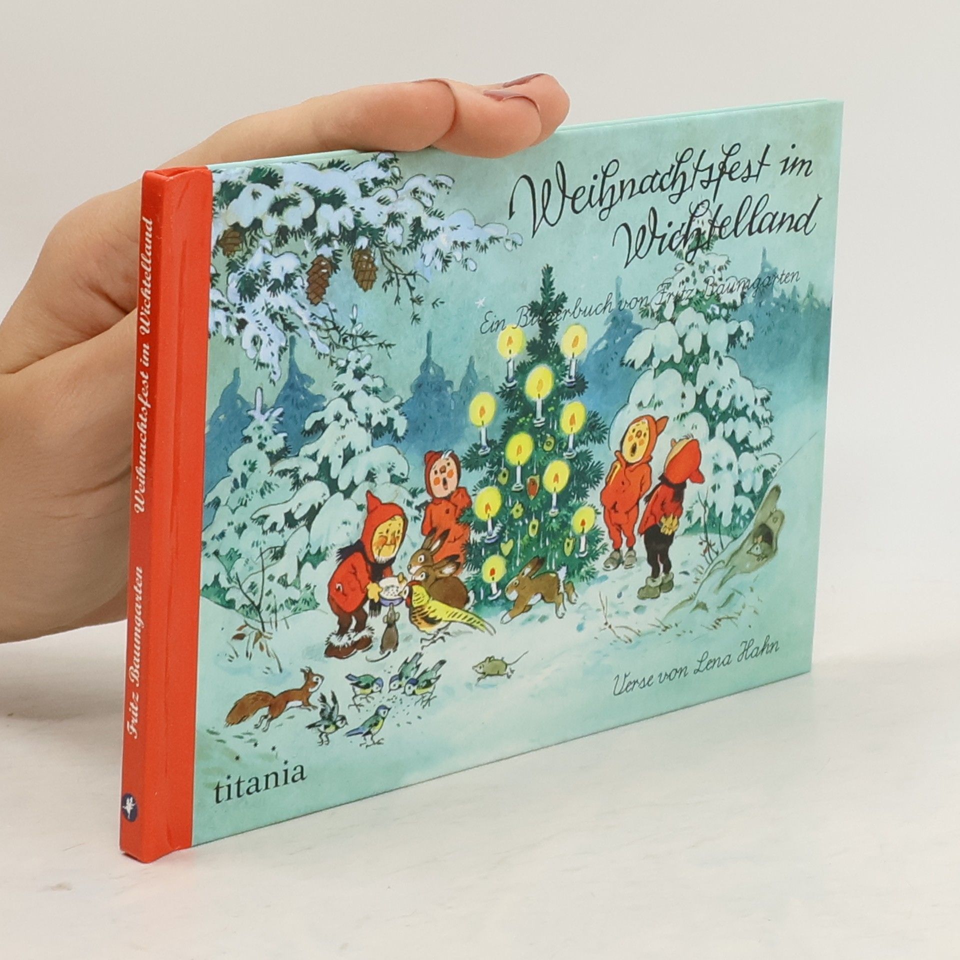 Fritz Baumgarten Weihnachtsfest im Wichtelland