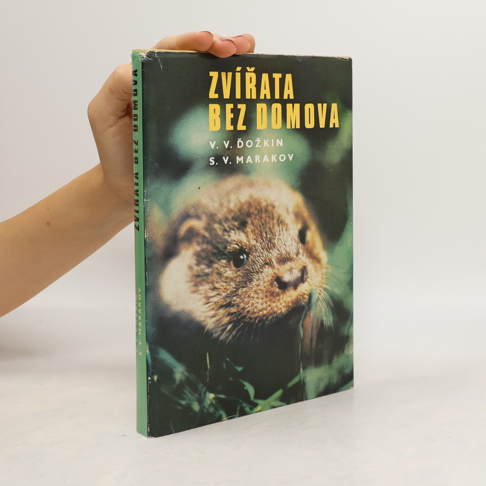 Vadim Vasiljevič Dežkin Zvířata bez domova
