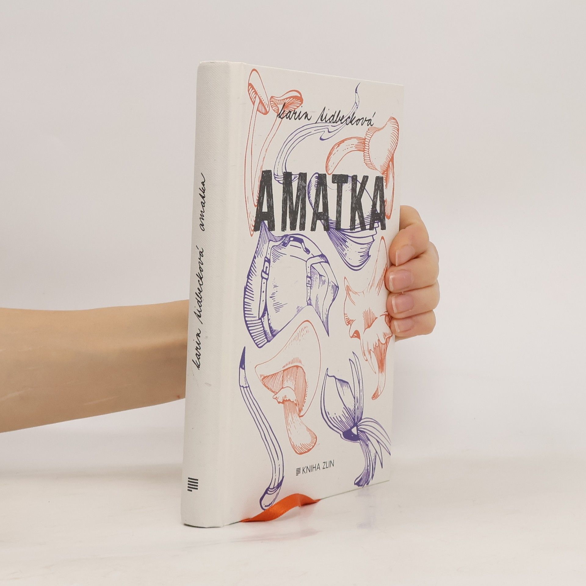 Karin Tidbeck Amatka