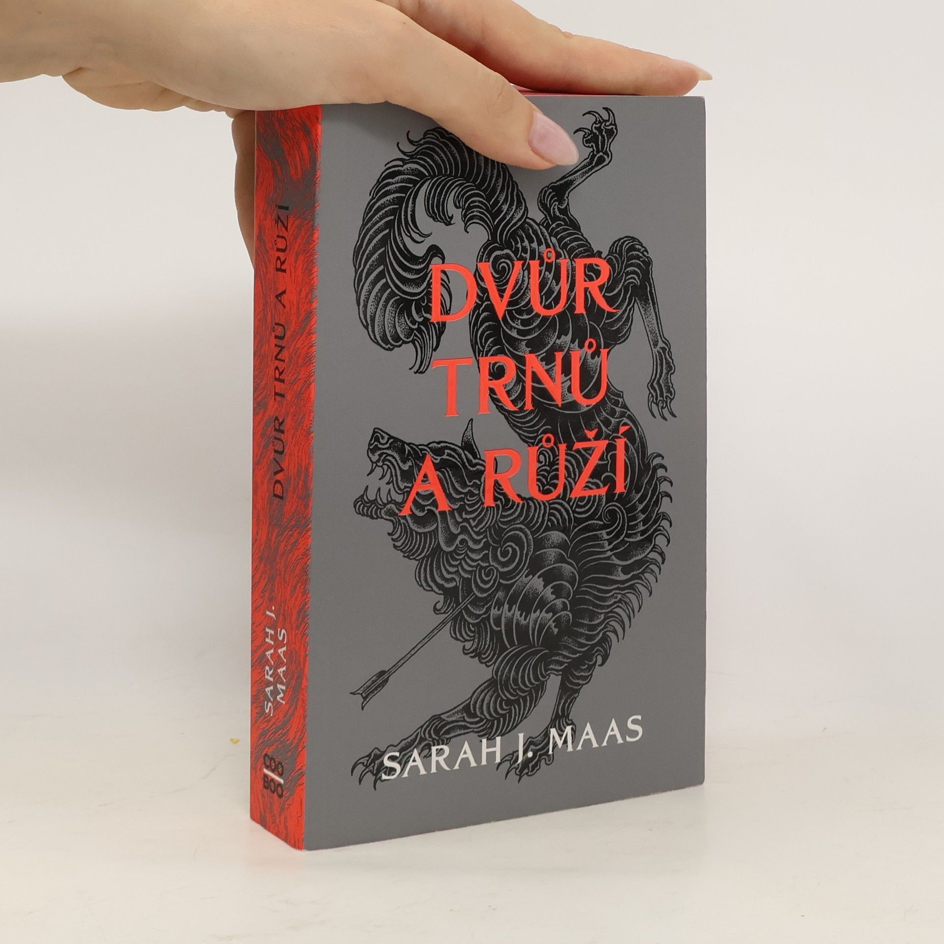 Sarah J. Maas Dvůr trnů a růží