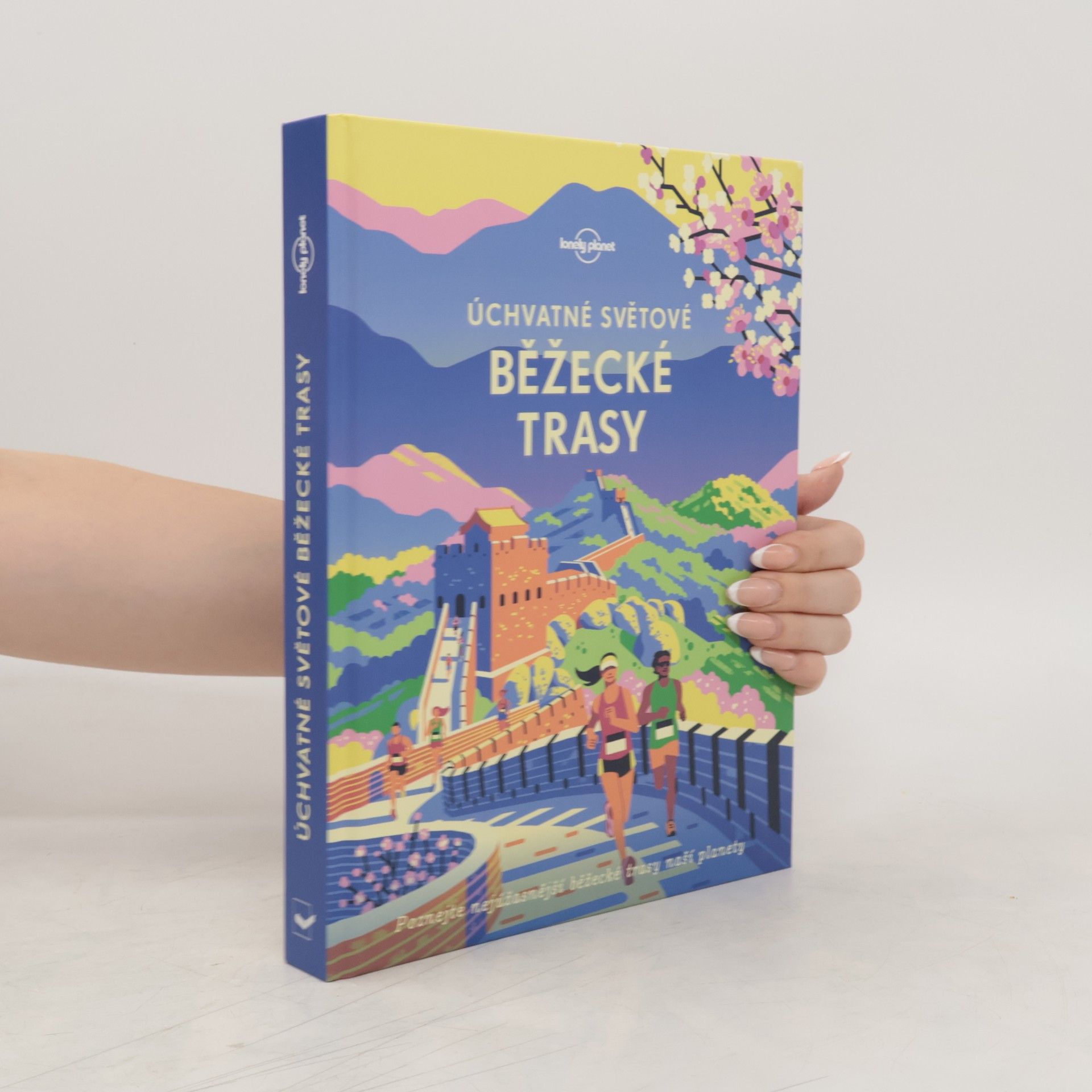 kolektiv Úchvatné světové běžecké trasy