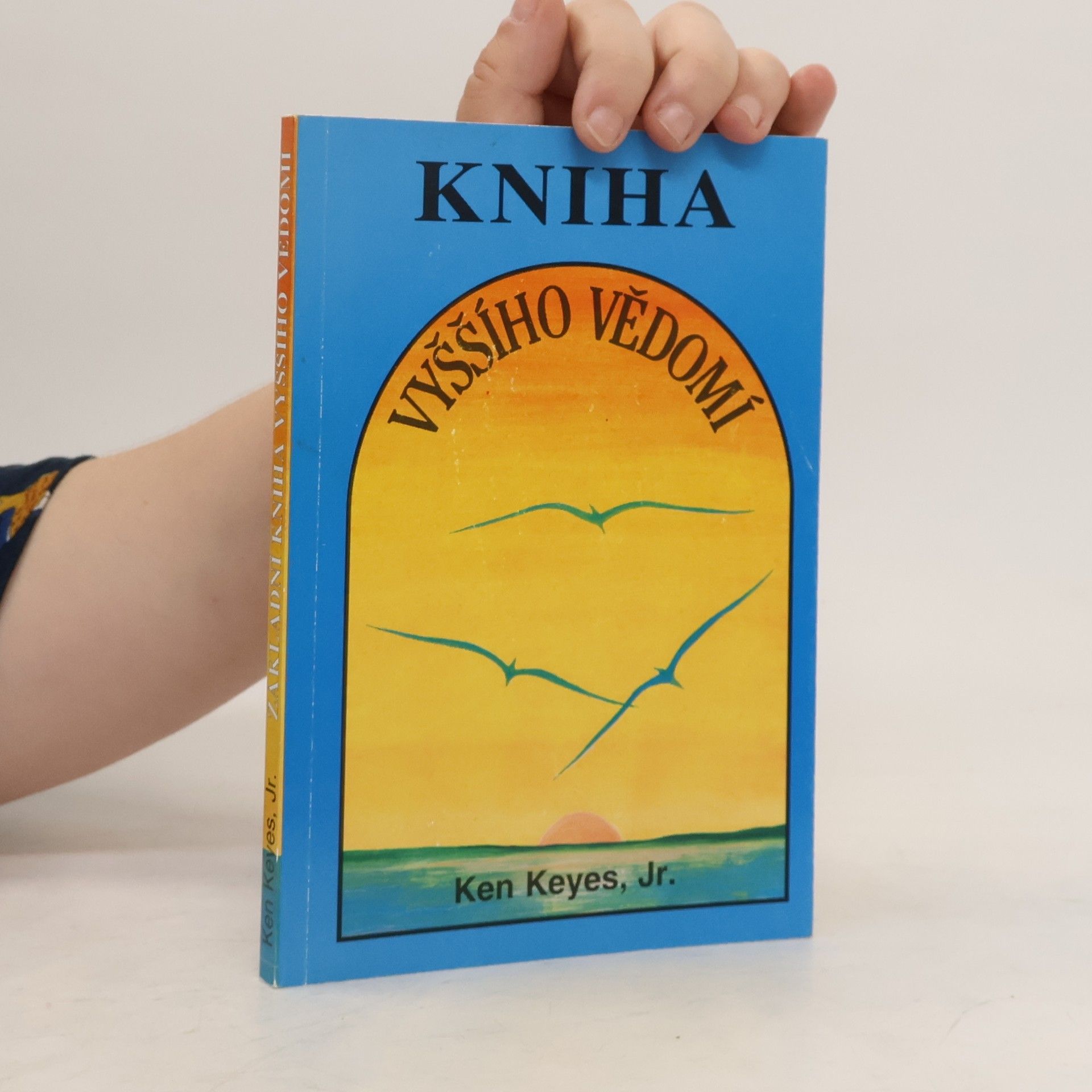 Ken Keyes Základní kniha vyššího vědomí